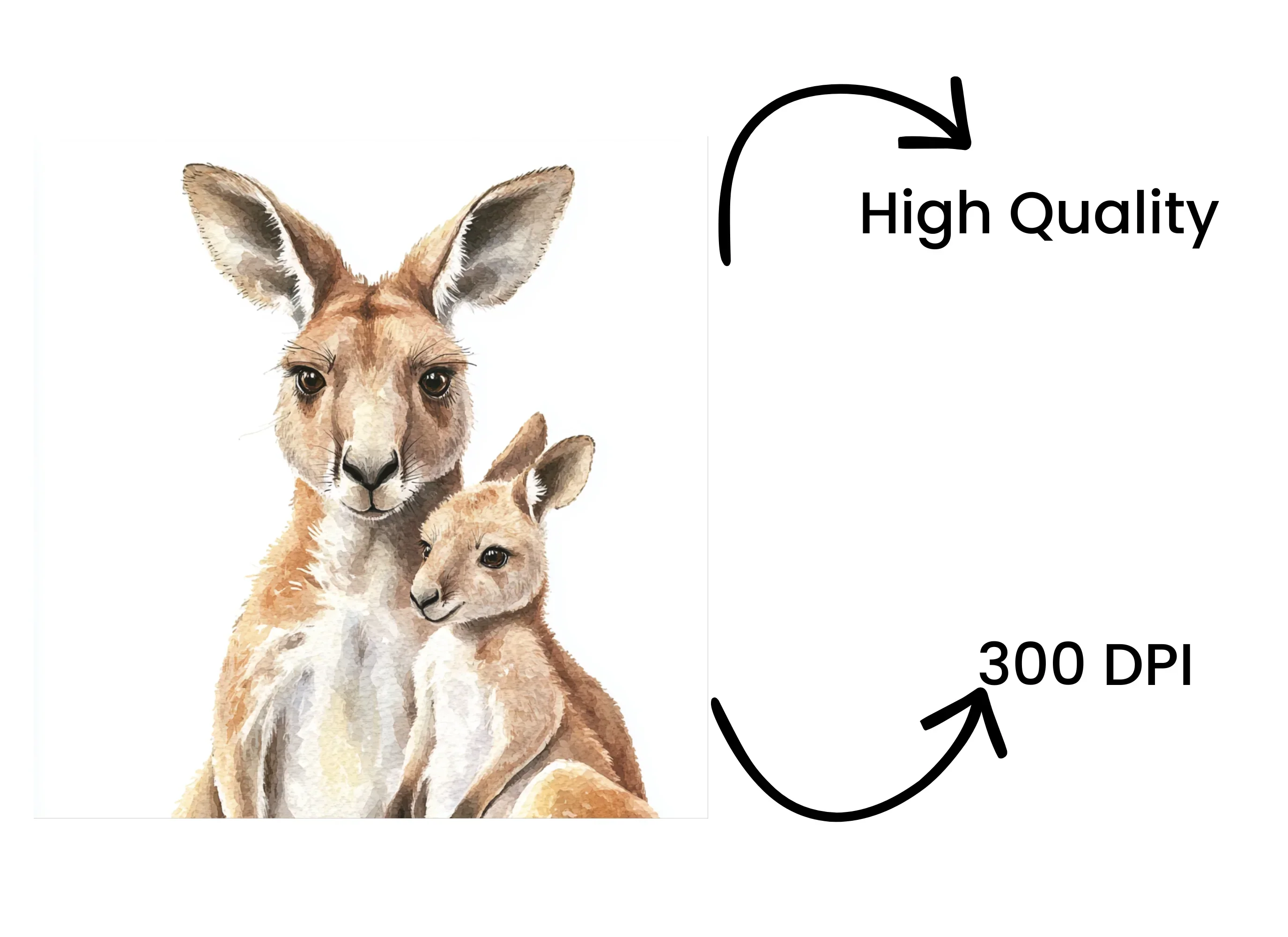 Kangaroo Mother and Baby Clipart Bundle - Image 4