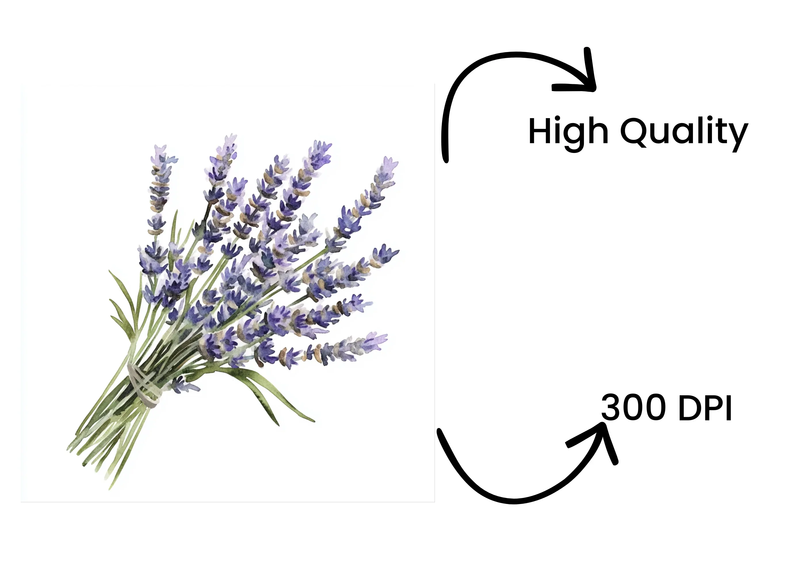 Lavender Bouquets Clipart Bundle - Image 4