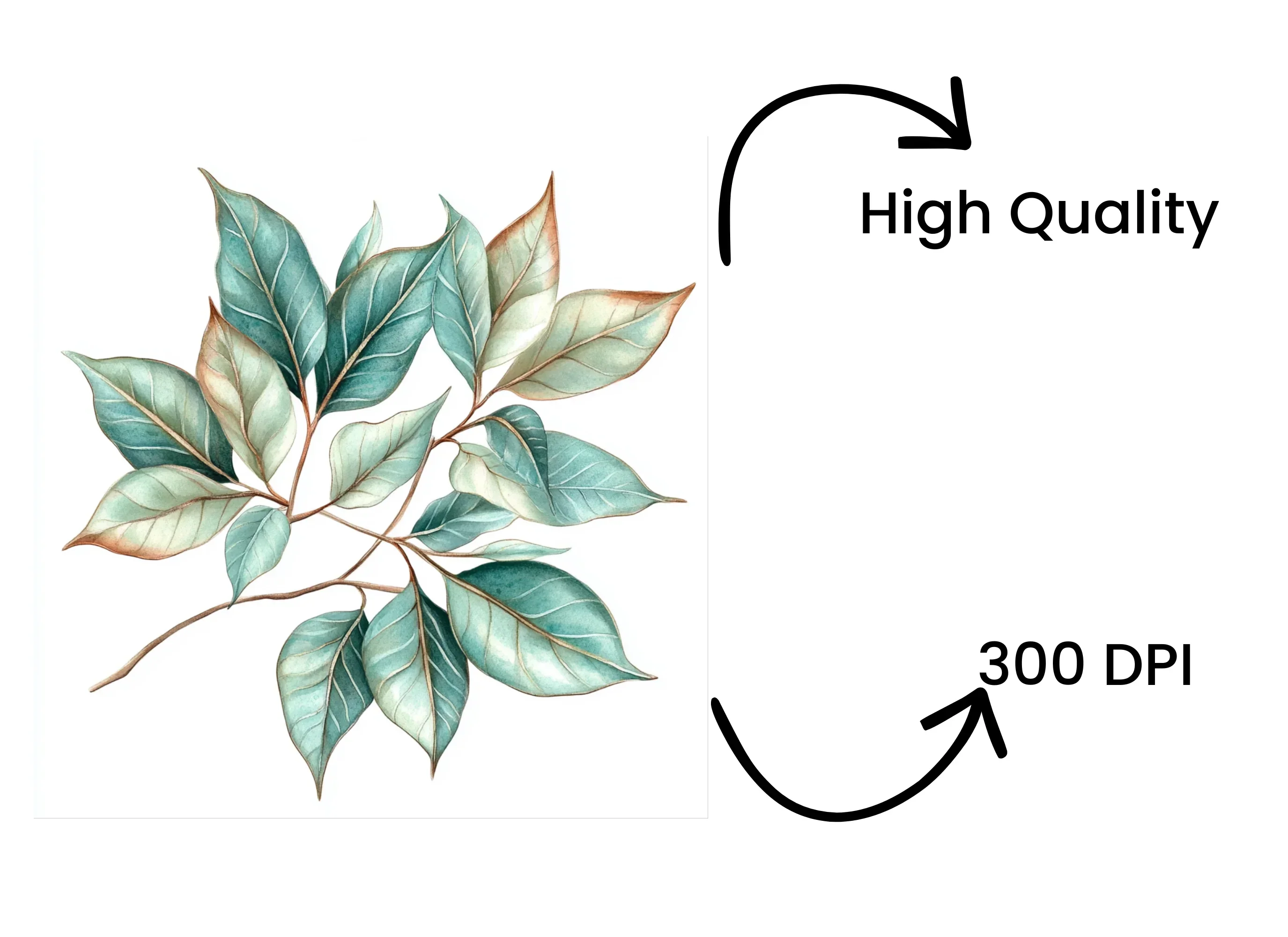 Leaf Clipart Bundle - Image 4