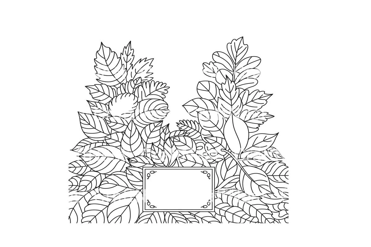 Leafy Frames Coloring Books - Image 2