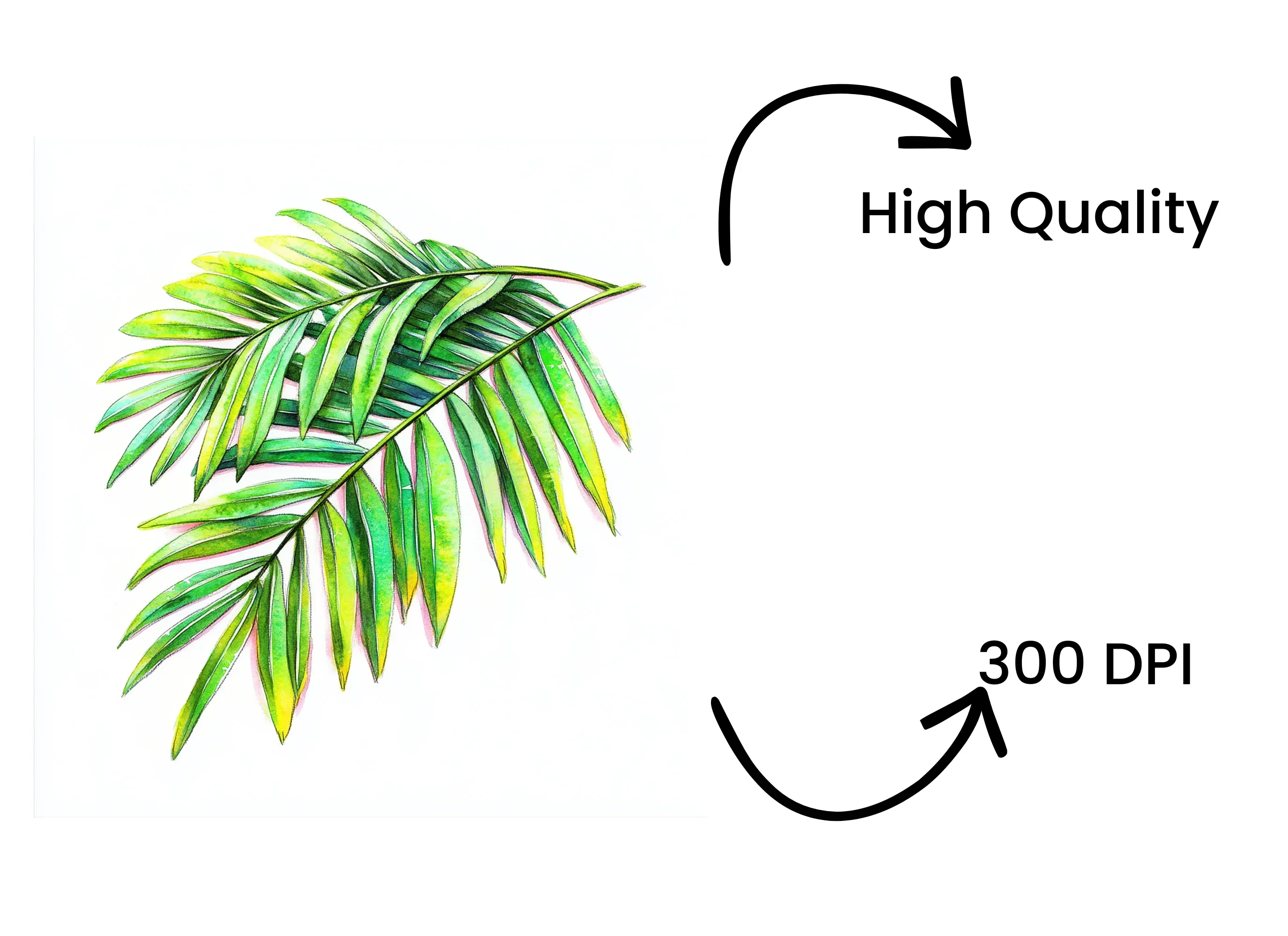Lush Green Palm Leaves Clipart Bundle - Image 4