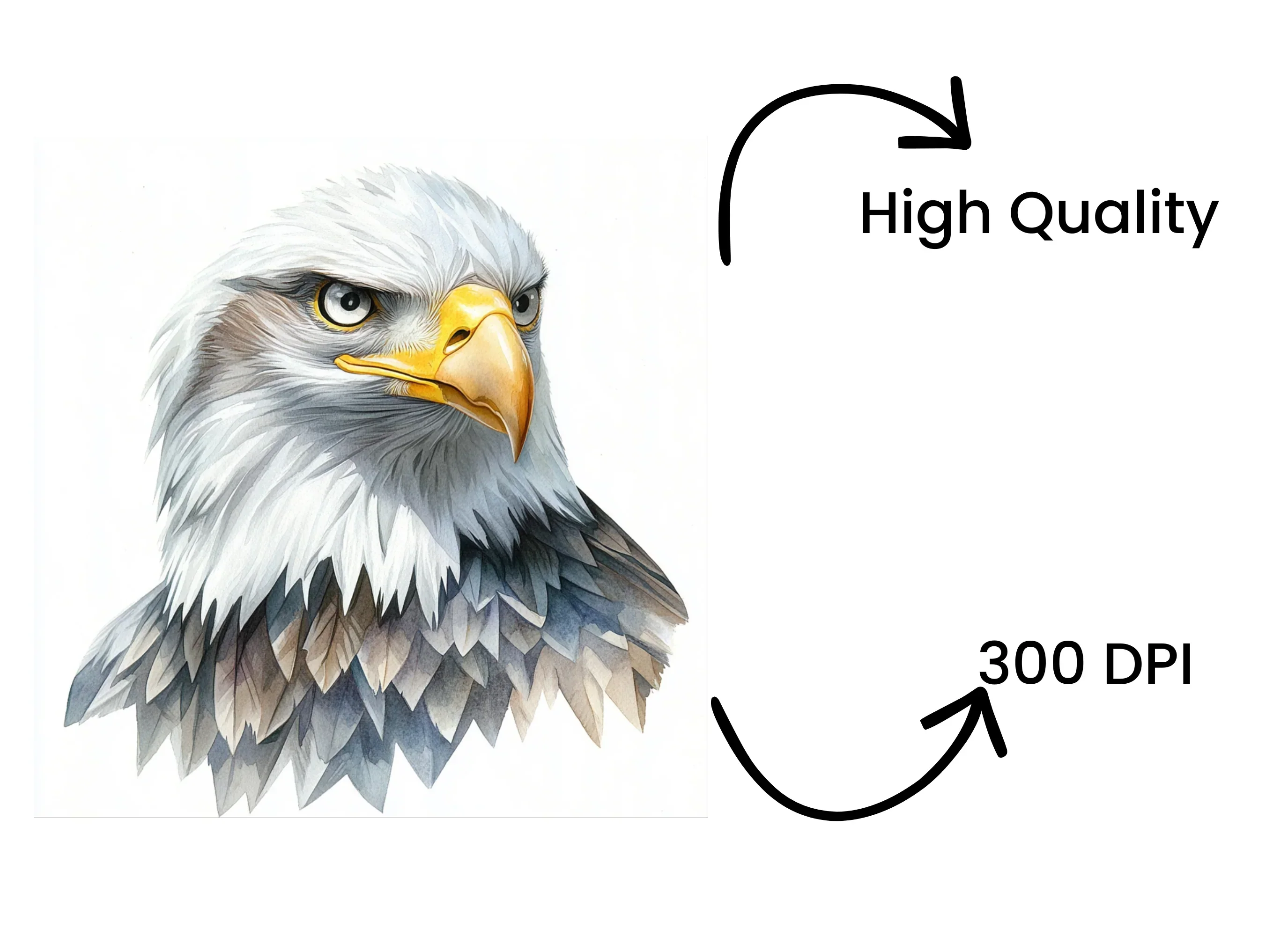 Majestic Bald Eagle Head Clipart Bundle - Image 4