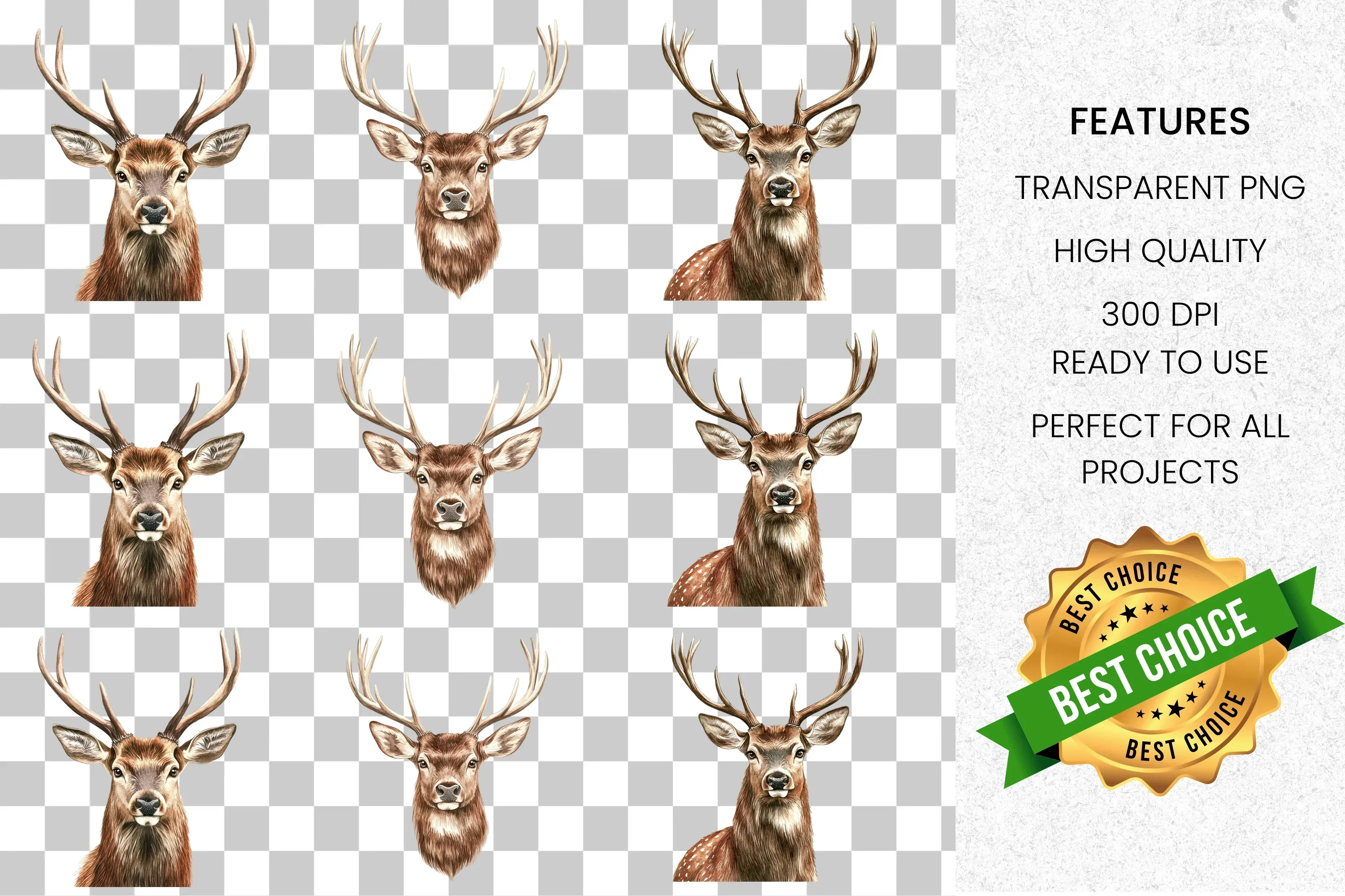 Majestic Deer Head Clipart Bundle - Image 8
