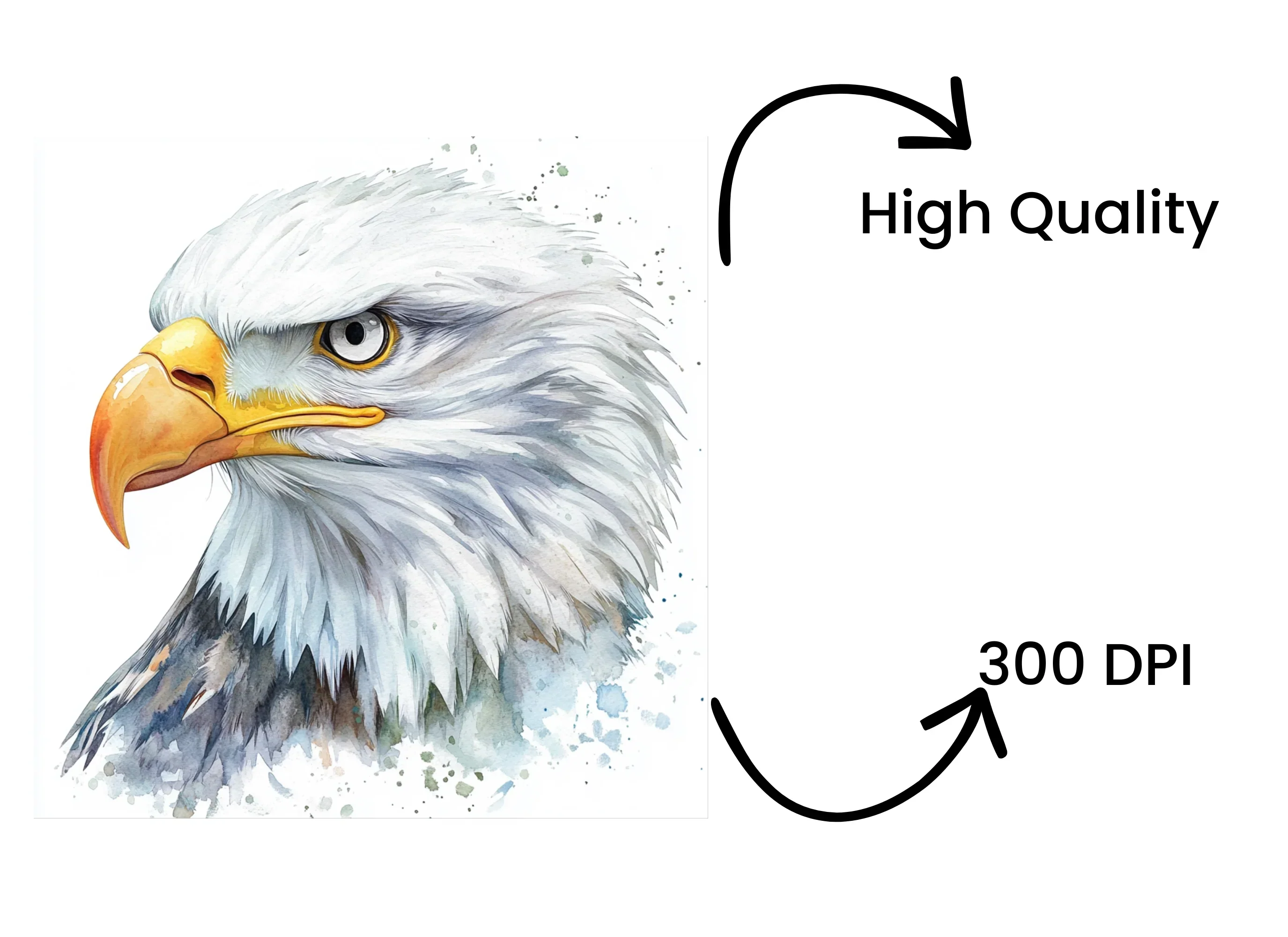 Majestic Eagle Head Clipart Bundle - Image 4