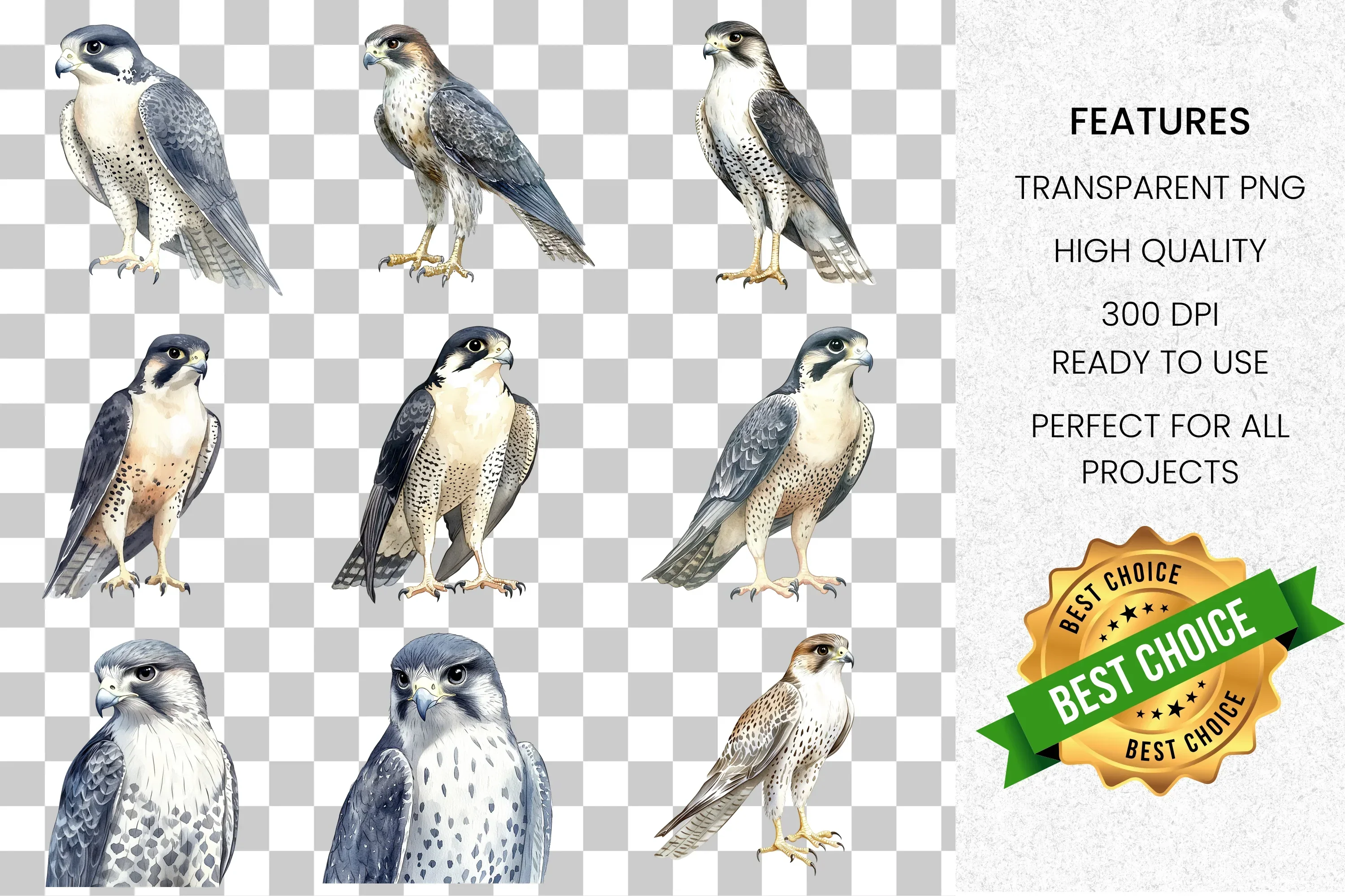 Majestic Falcon Clipart Bundle - Image 2