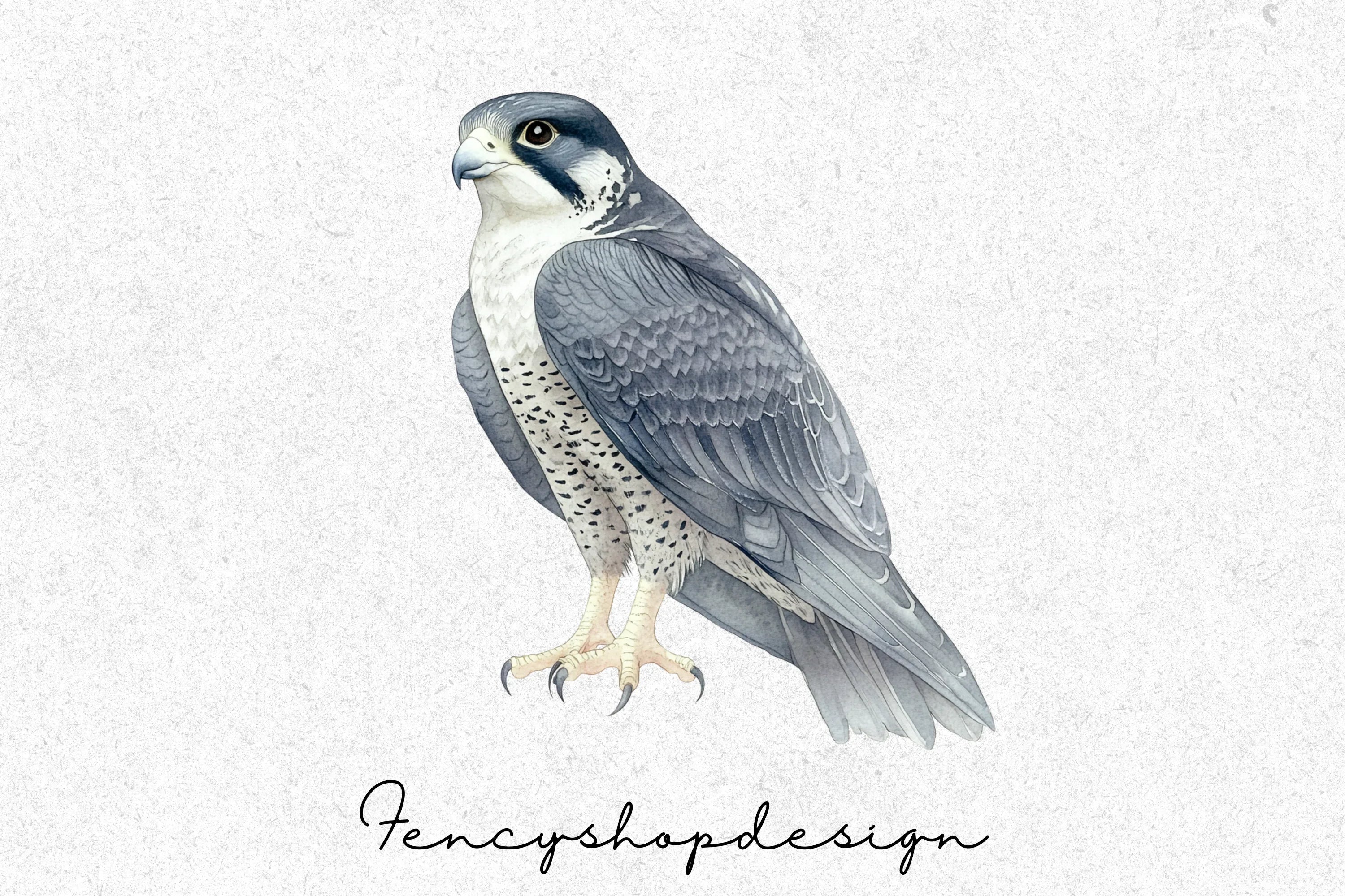 Majestic Falcon Clipart Bundle - Image 4
