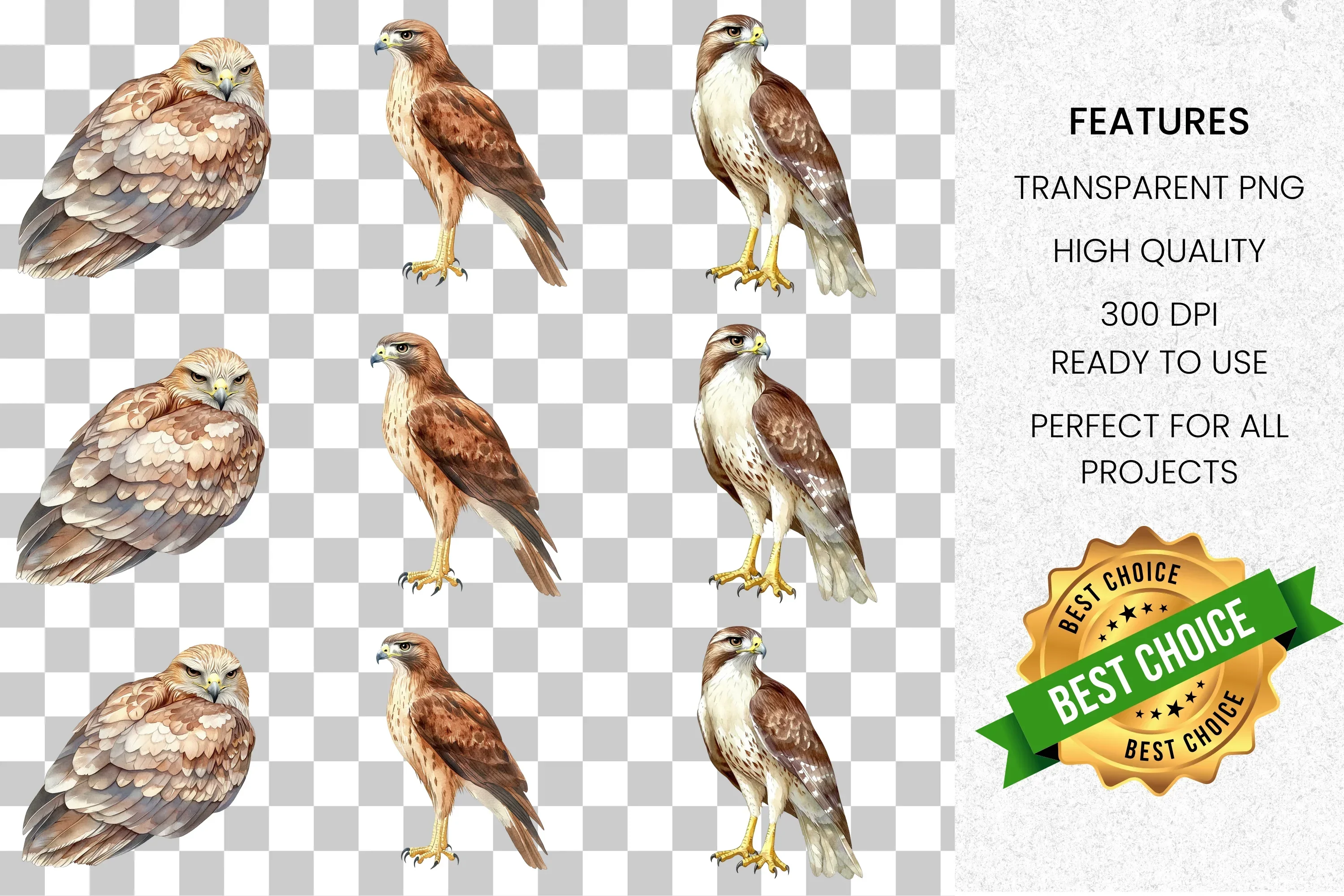Majestic Hawk Bird Clipart Bundle - Image 2