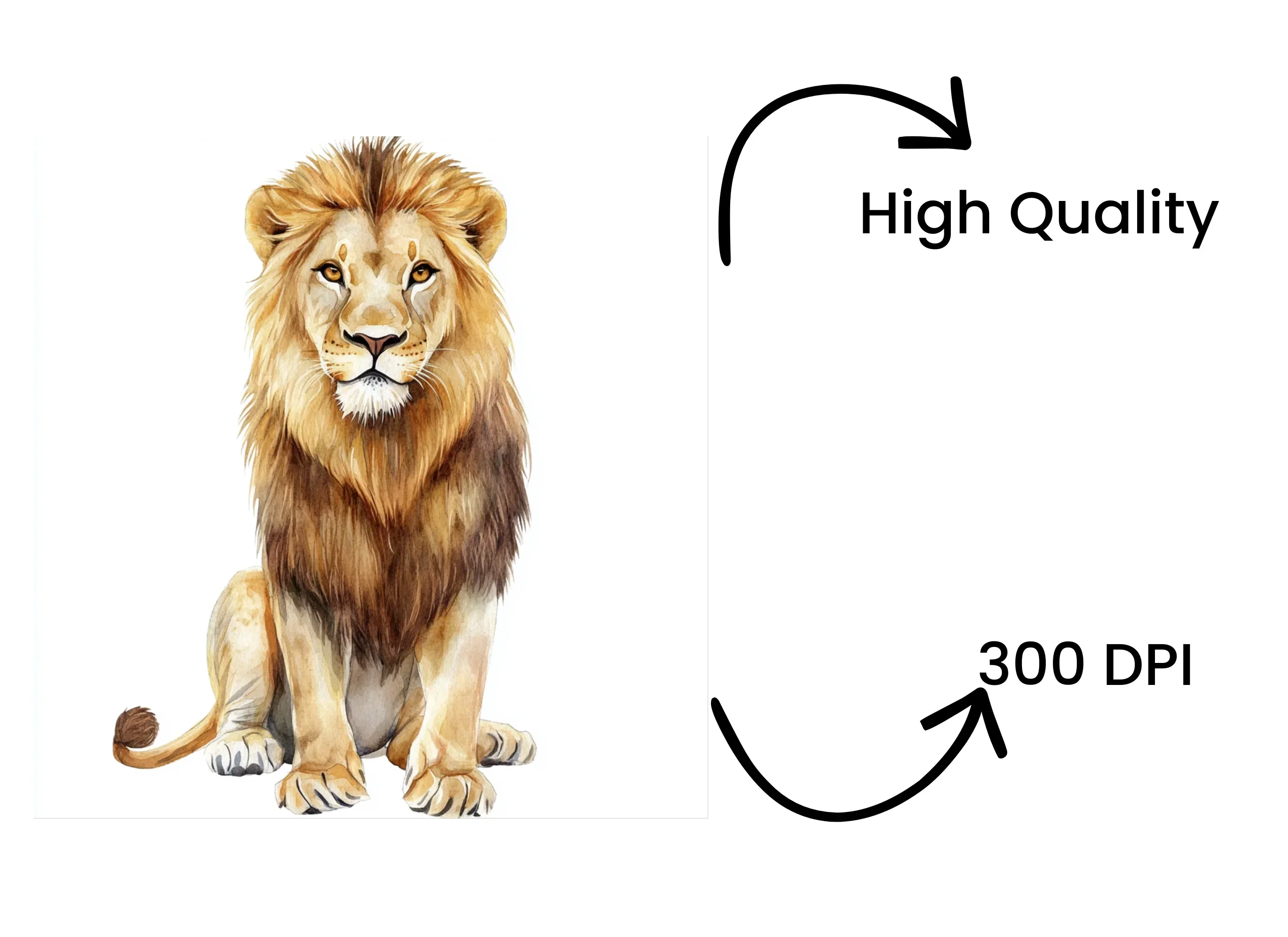 Majestic Lion Clipart Bundle - Image 4
