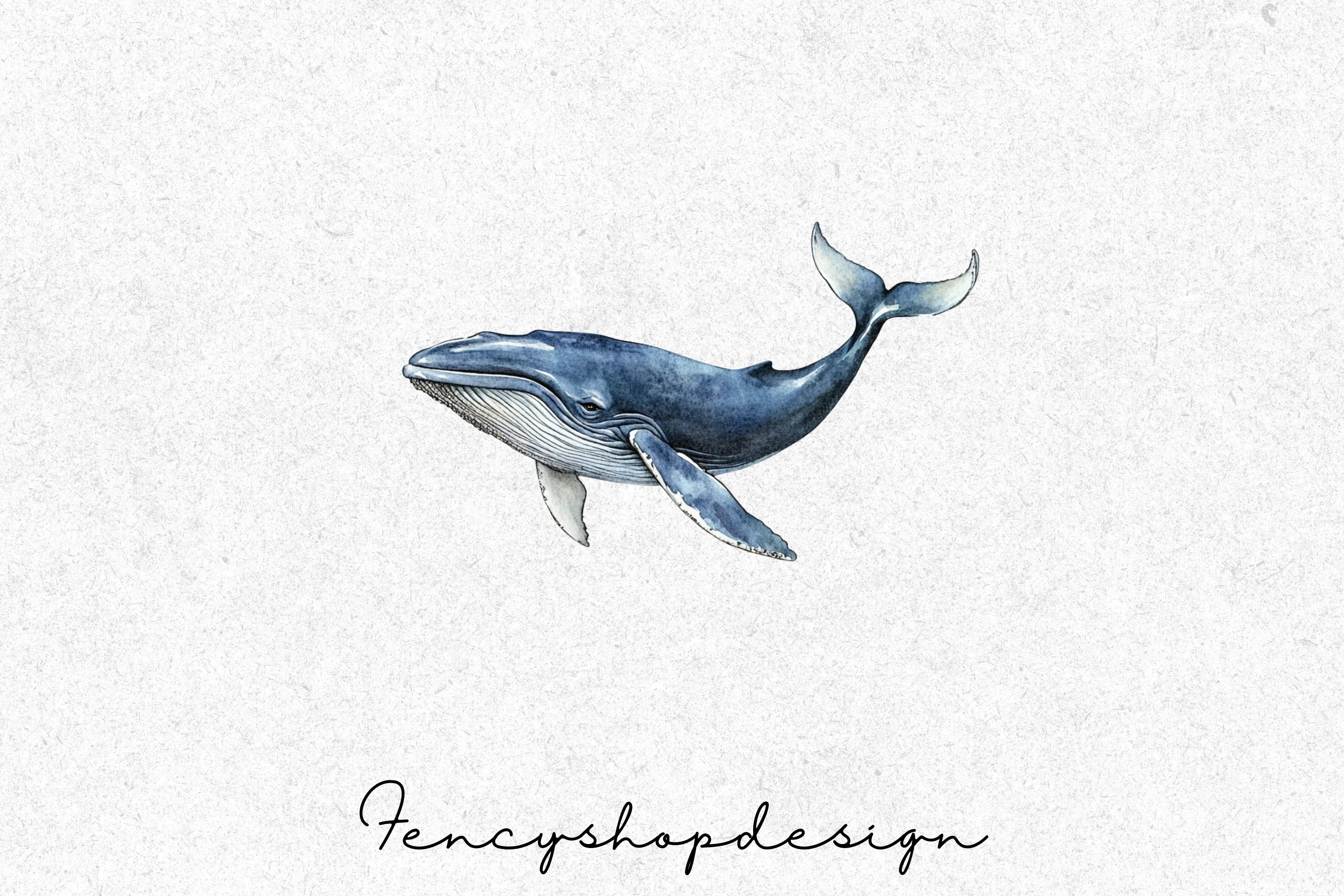 Majestic Whale Clipart Bundle - Image 4