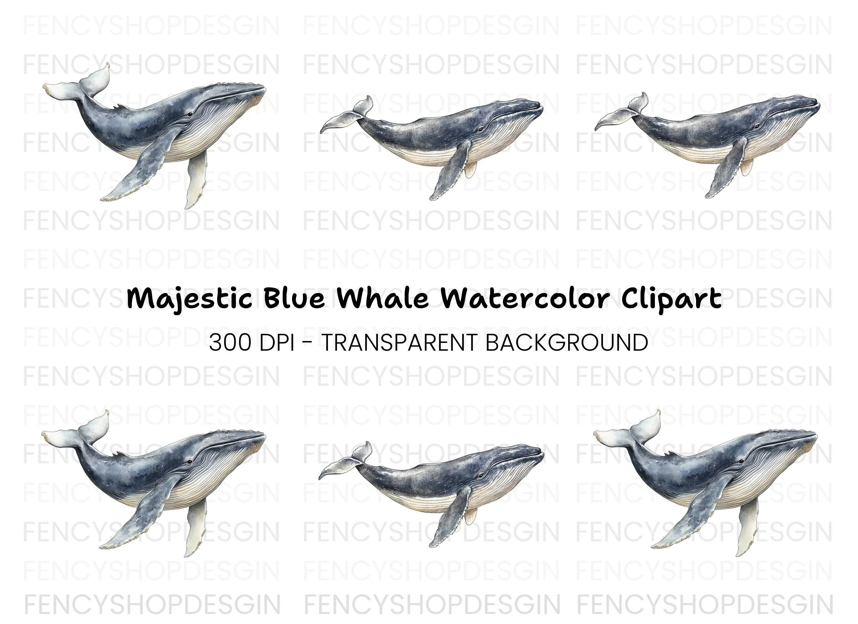 Majestic Whale Duo Clipart Bundle