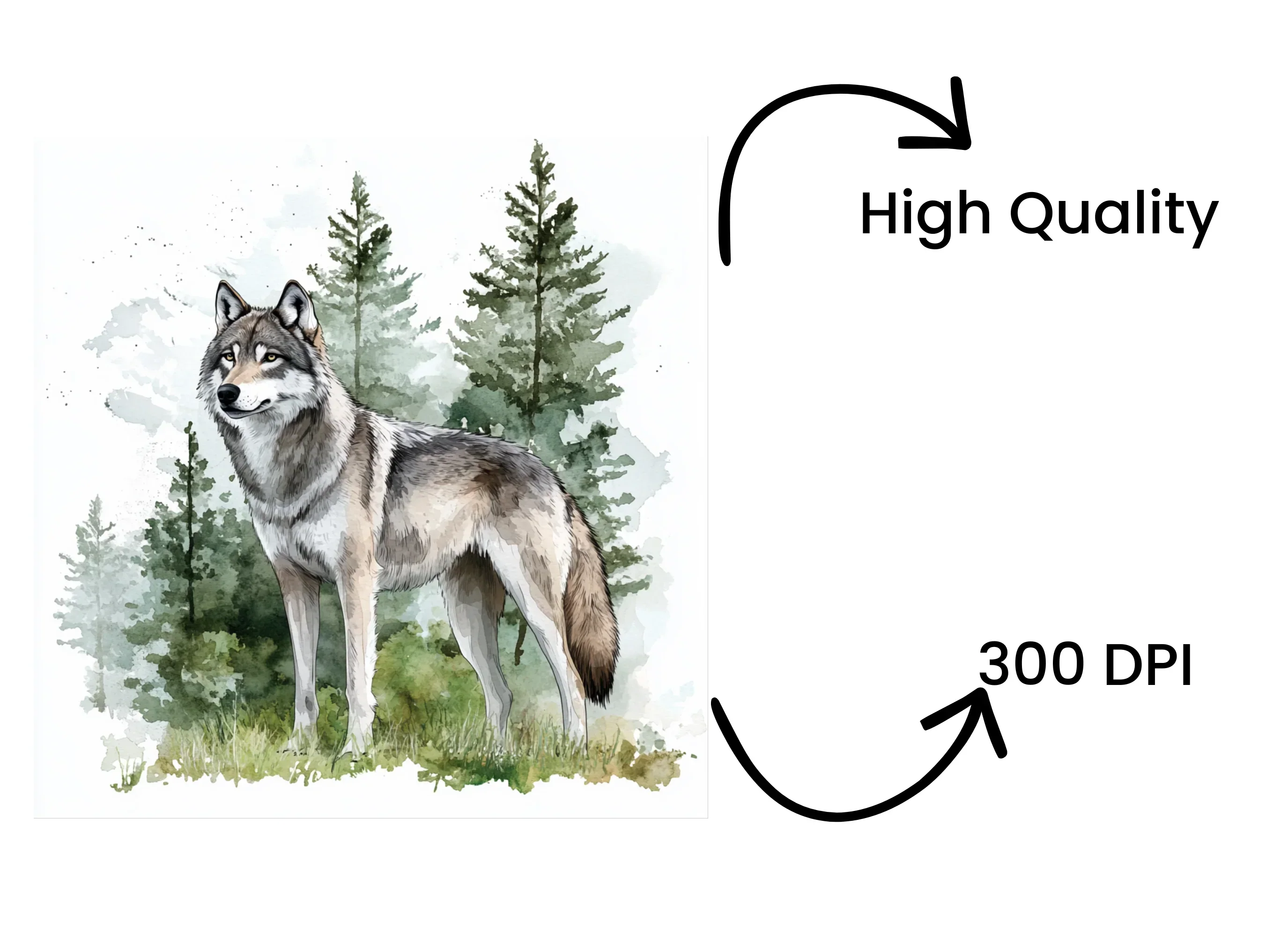 Majestic Wolf Forest Clipart Bundle - Image 4