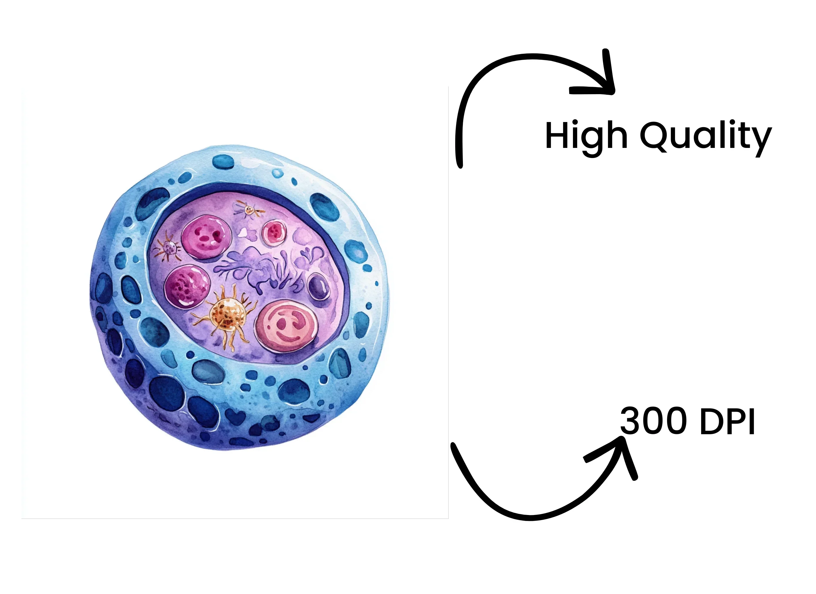 Microscopic Cell Structure Clipart Bundle - Image 4