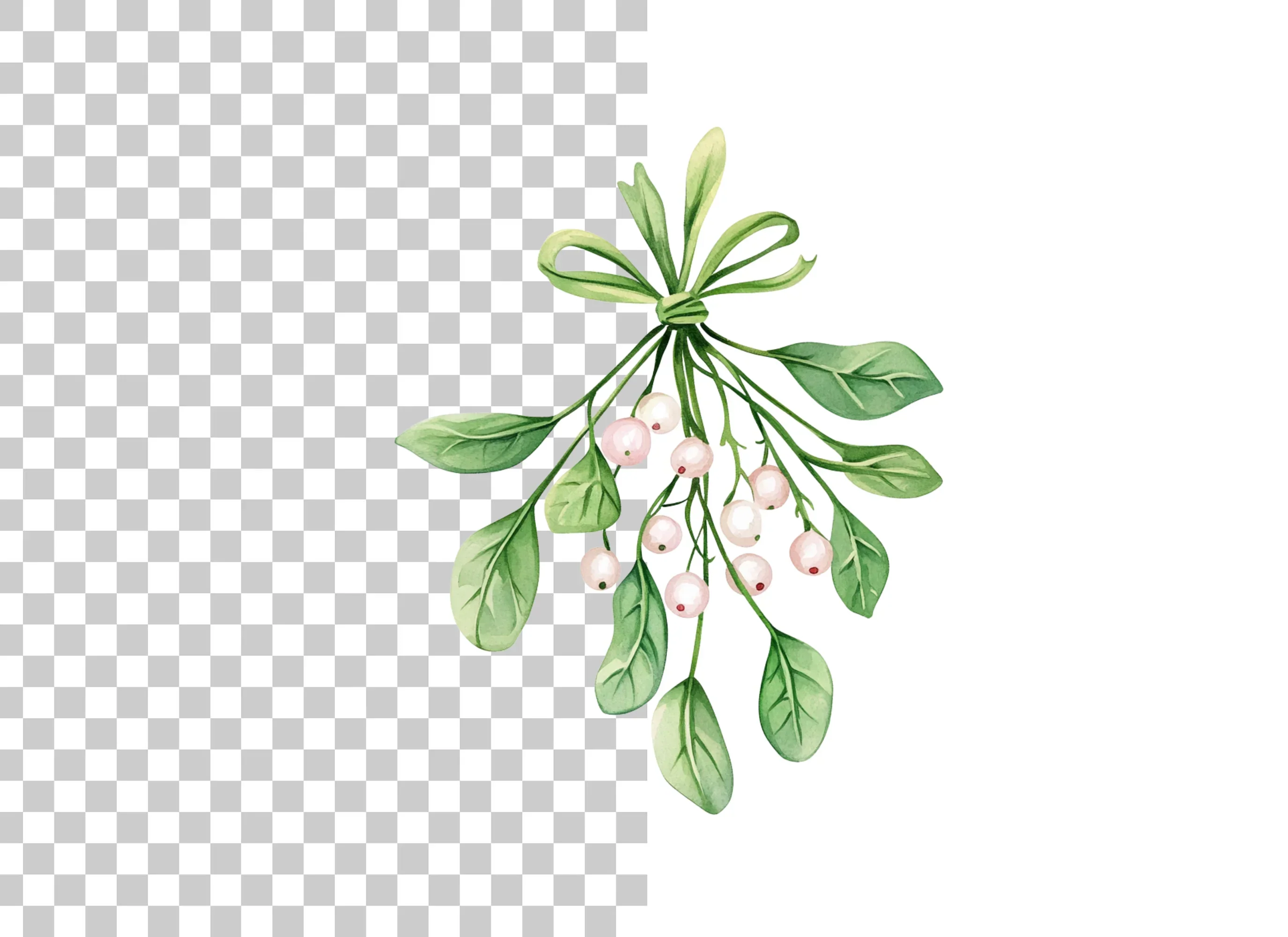 Mistletoe Clipart Bundle - Image 2