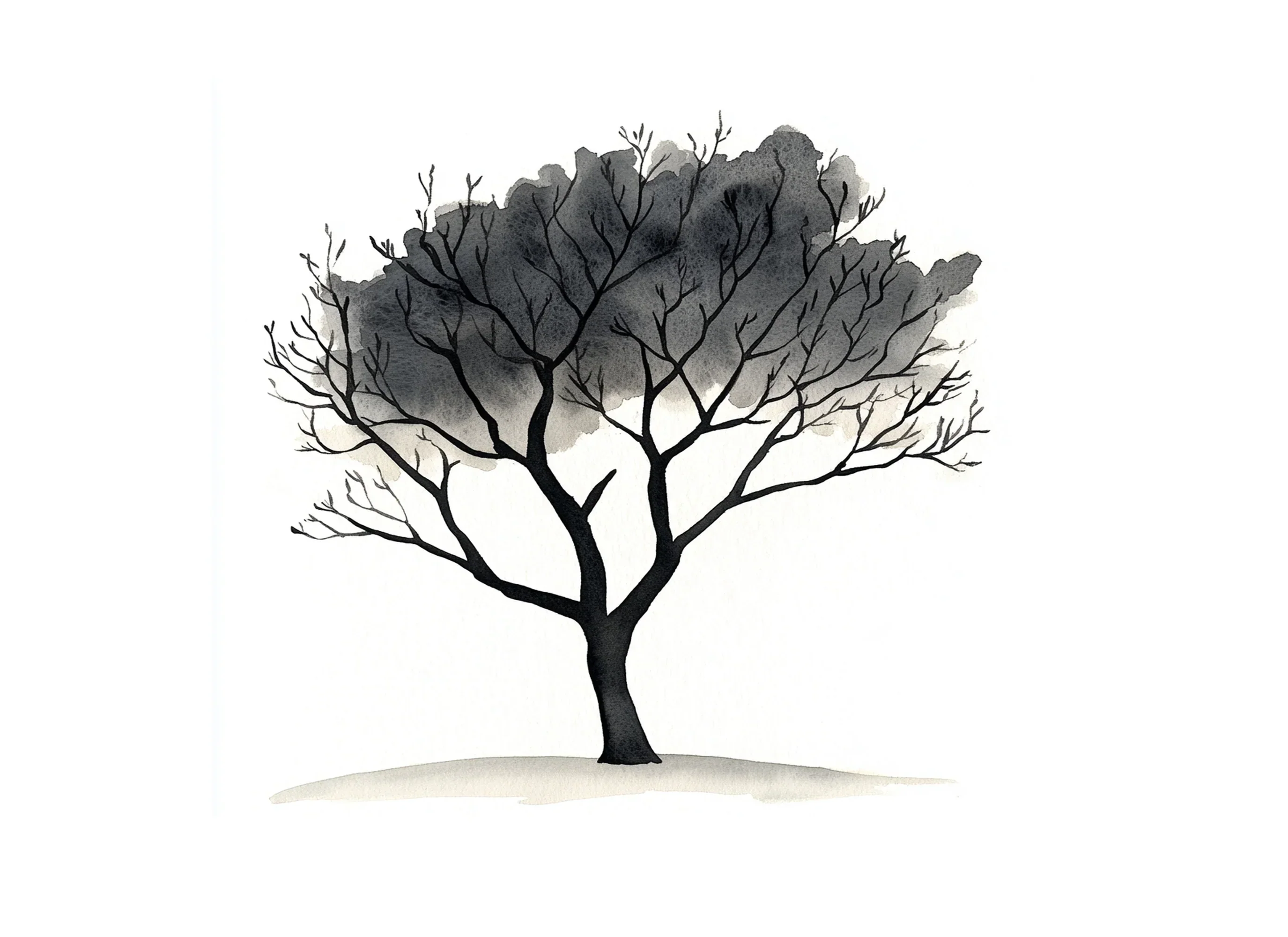 Monochromatic Tree Illustrations Clipart Bundle - Image 3