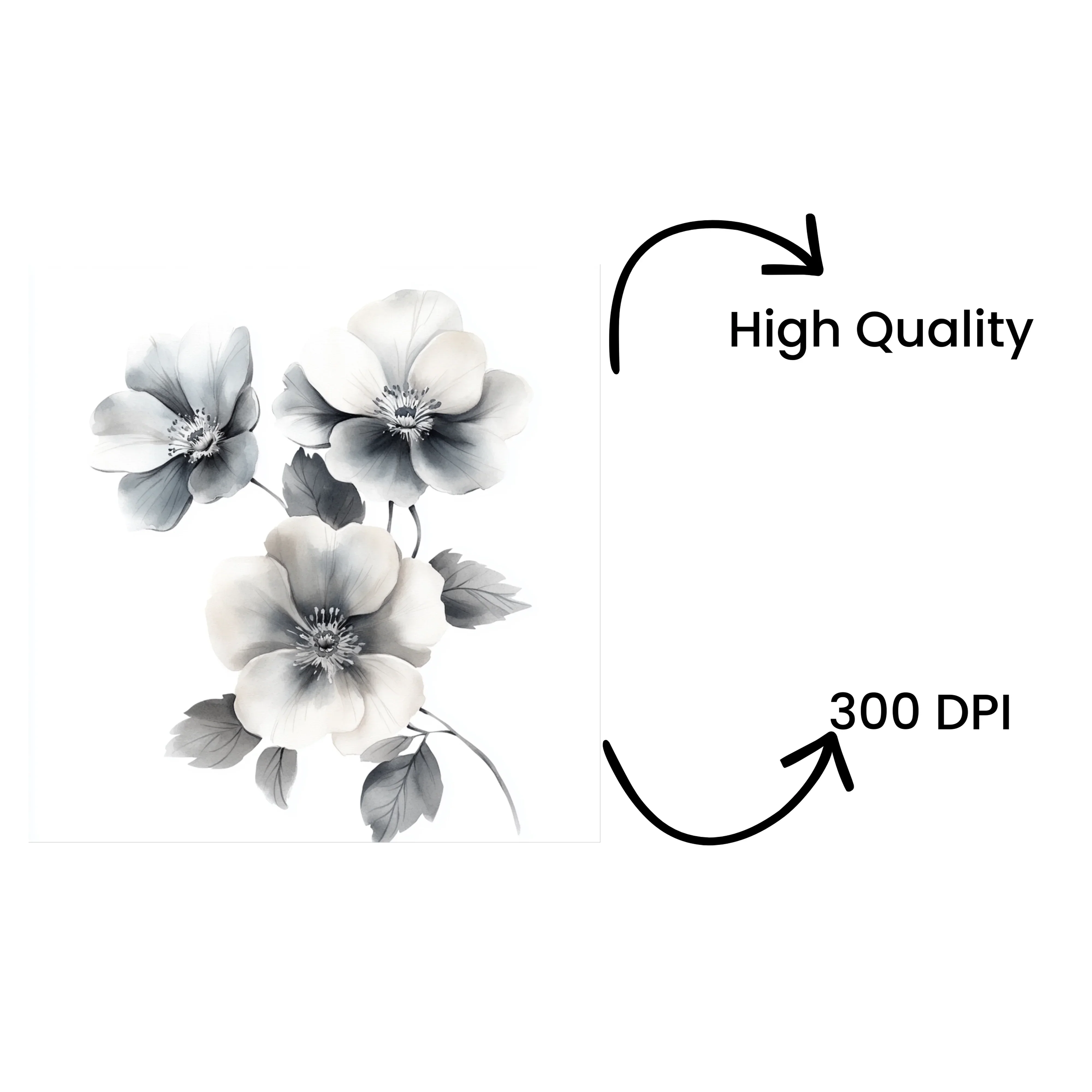 Monochrome Floral Arrangement Clipart Bundle - Image 4