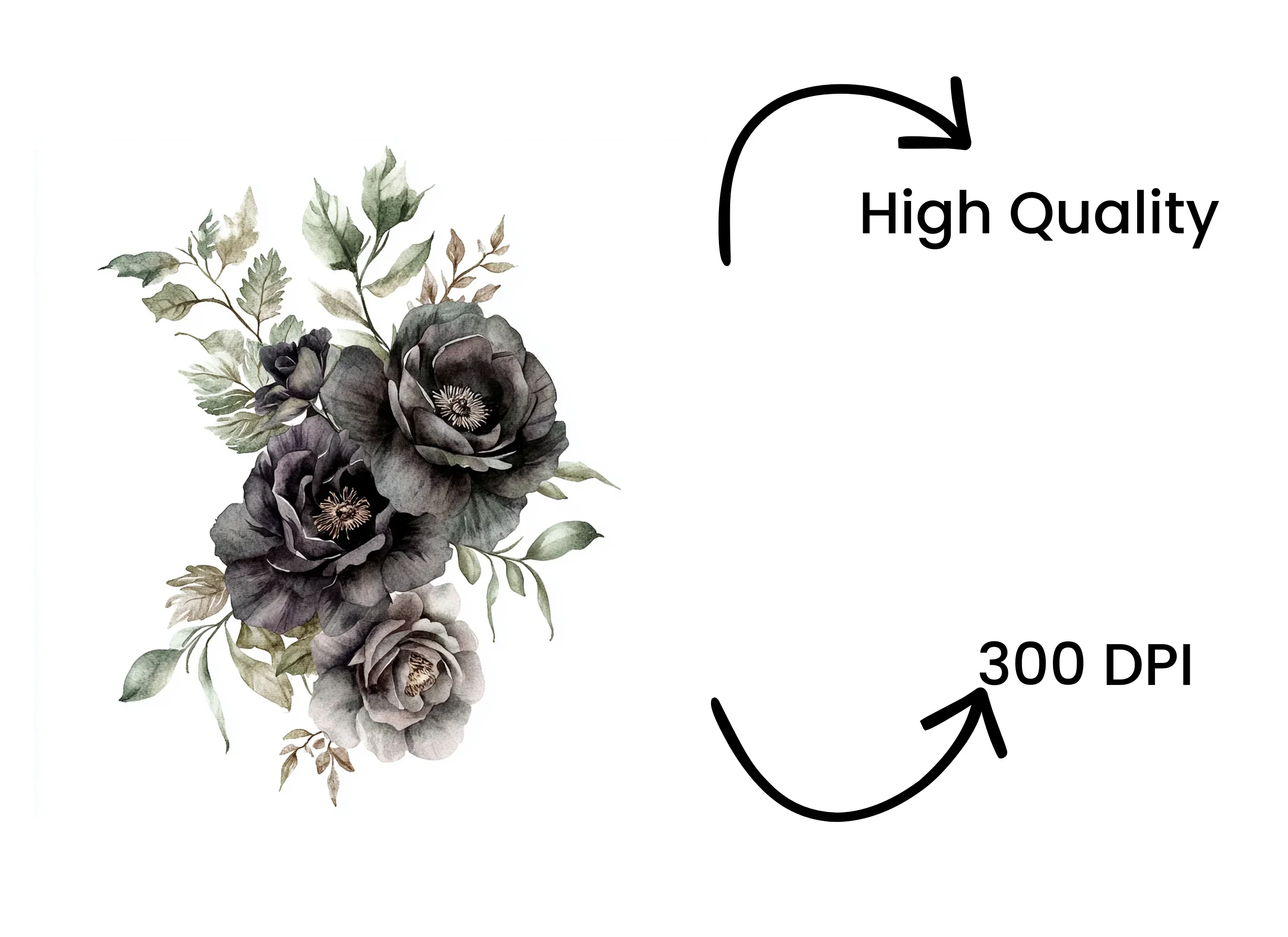 Moody Black Rose Clipart Bundle - Image 4