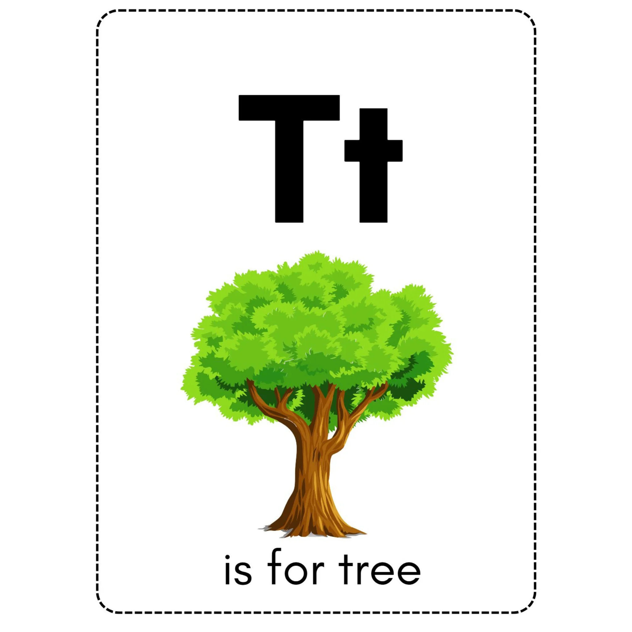 Alphabet Picture Flashcards - Image 5