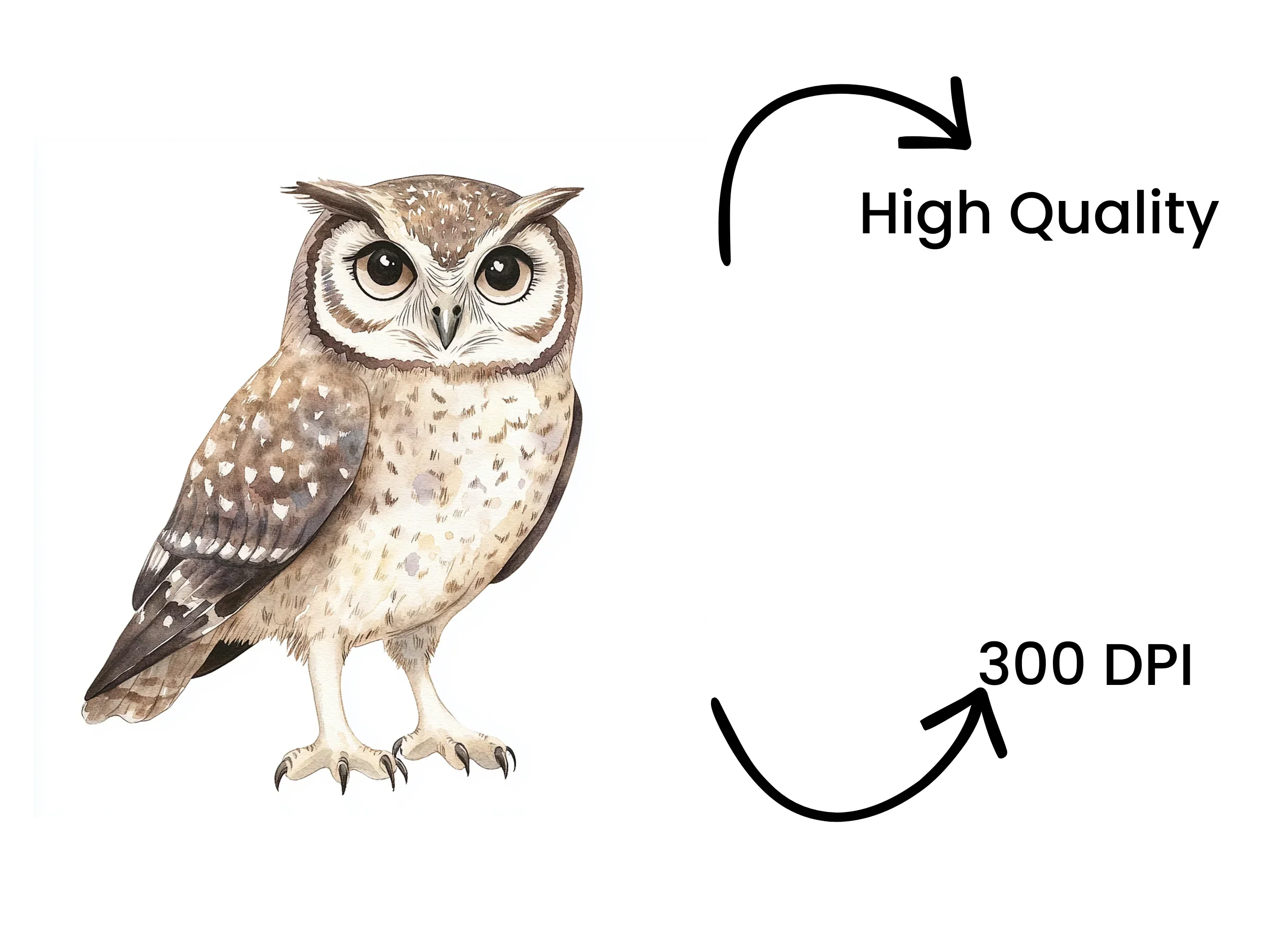 Owl Clipart Bundle - Image 4