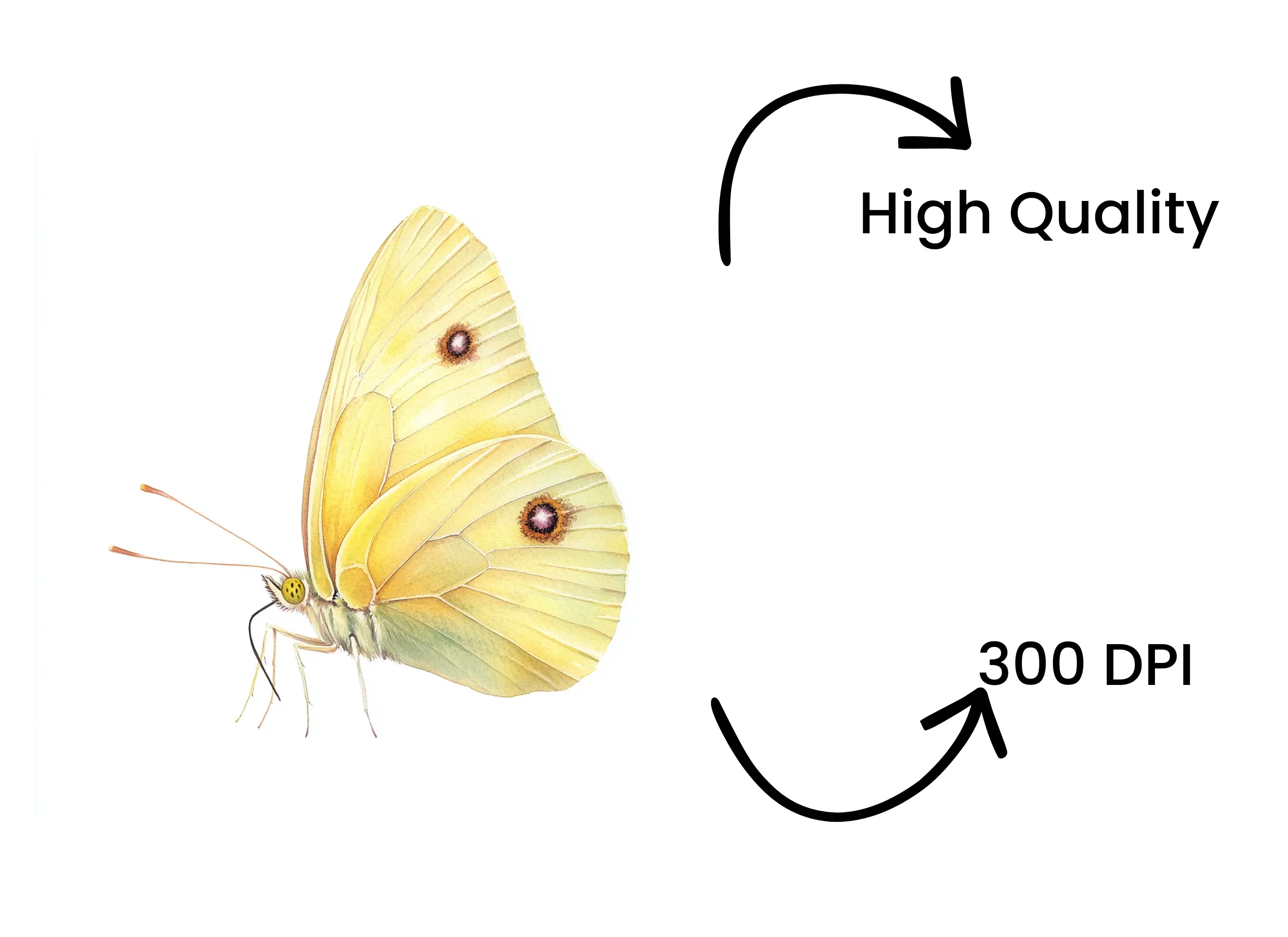 Pale Yellow Butterfly Clipart Bundle - Image 4