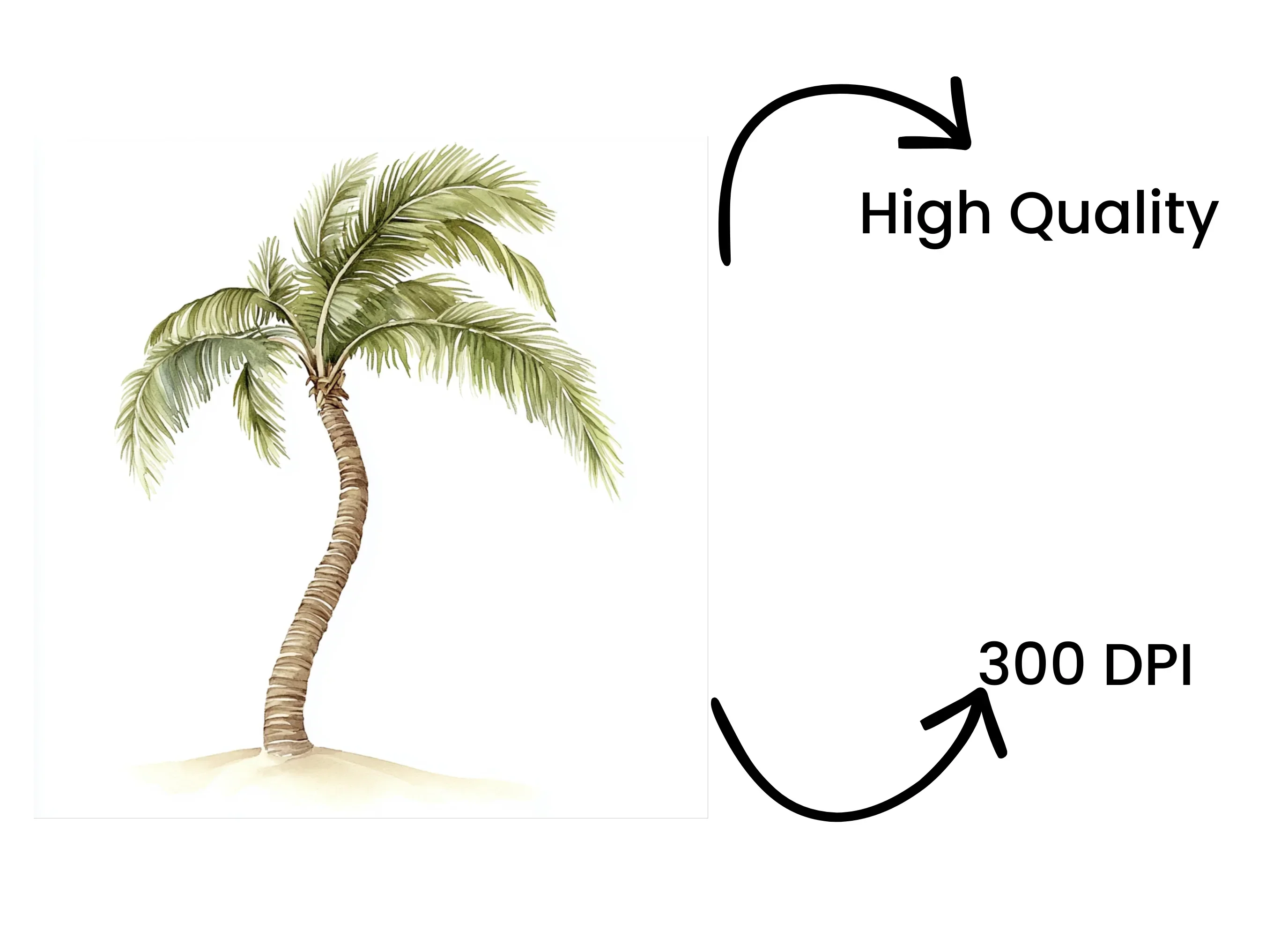 Palm Tree Clipart Bundle - Image 4