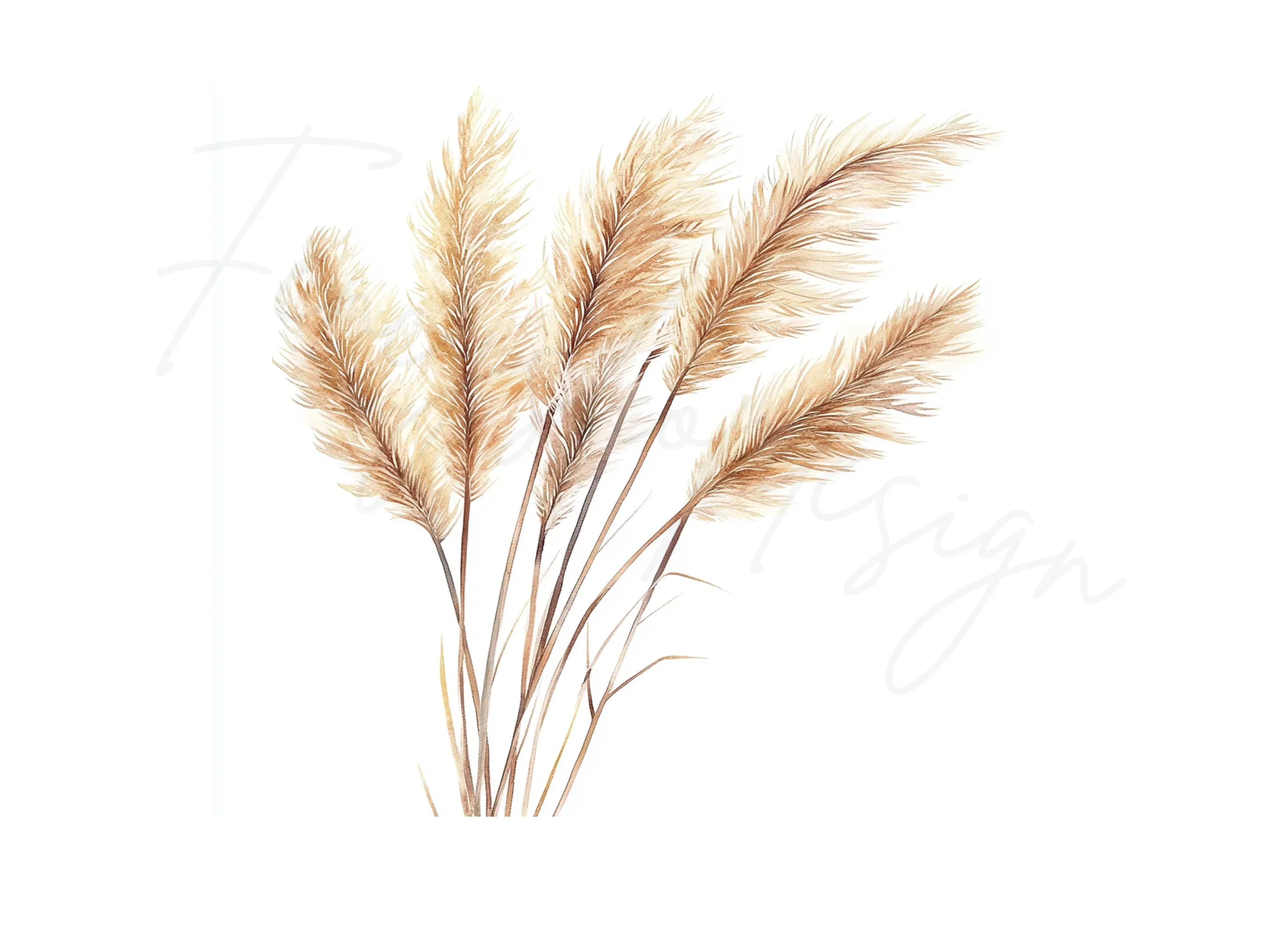 Pampas Grass Clipart Bundle - Image 2