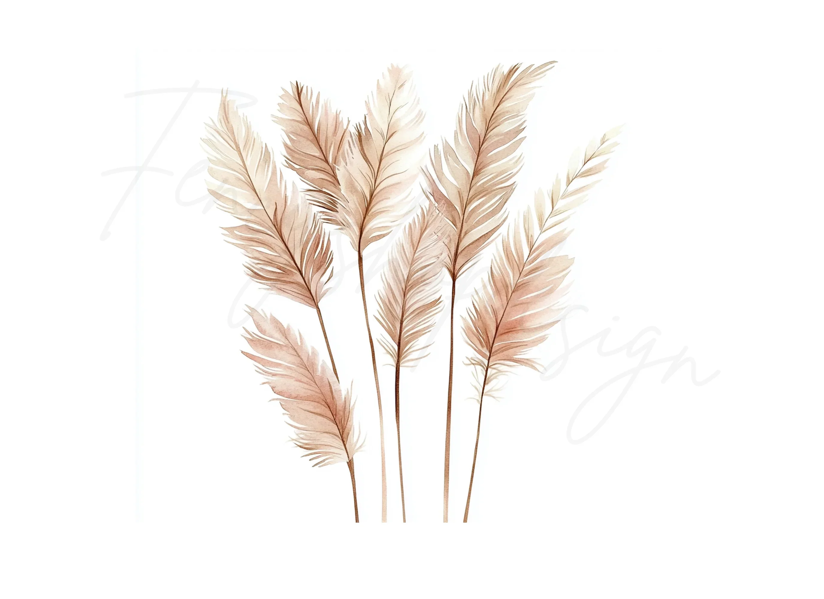 Pampas Grass Clipart Bundle - Image 2