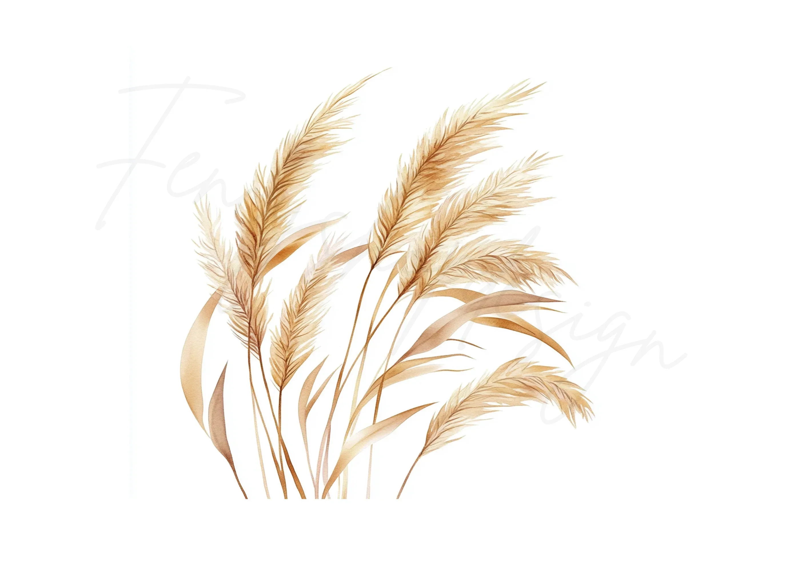 Pampas Grass Illustrations Clipart Bundle - Image 3