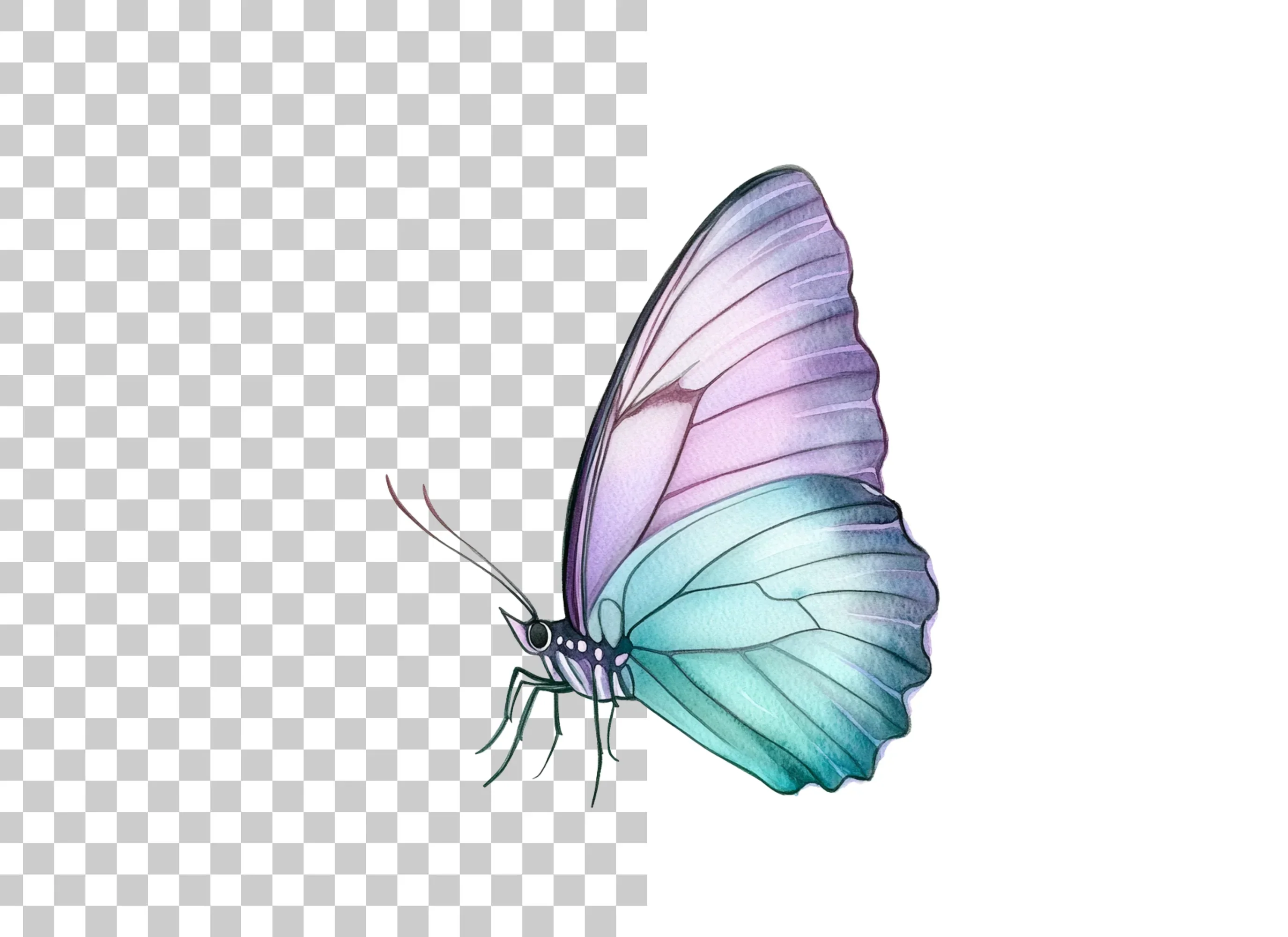 Pastel Butterfly Clipart Bundle - Image 2