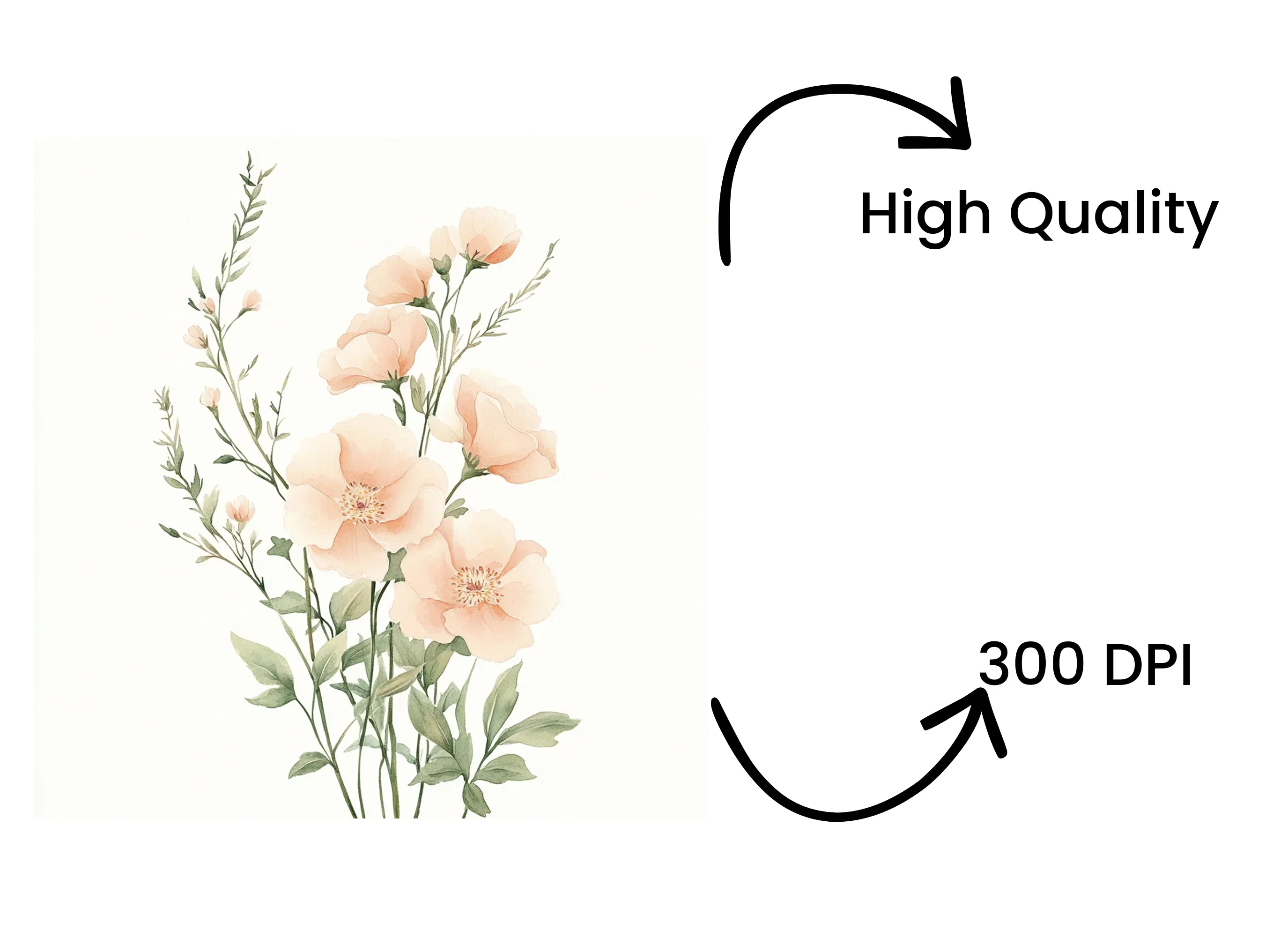 Peach Rose Bouquet Clipart Bundle - Image 4