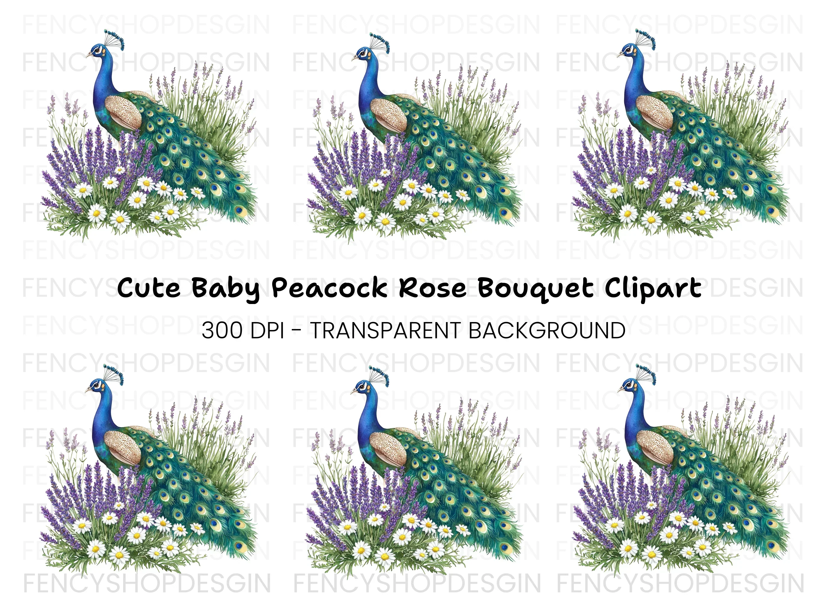 Peacock with Lavender and Daisies Clipart Bundle