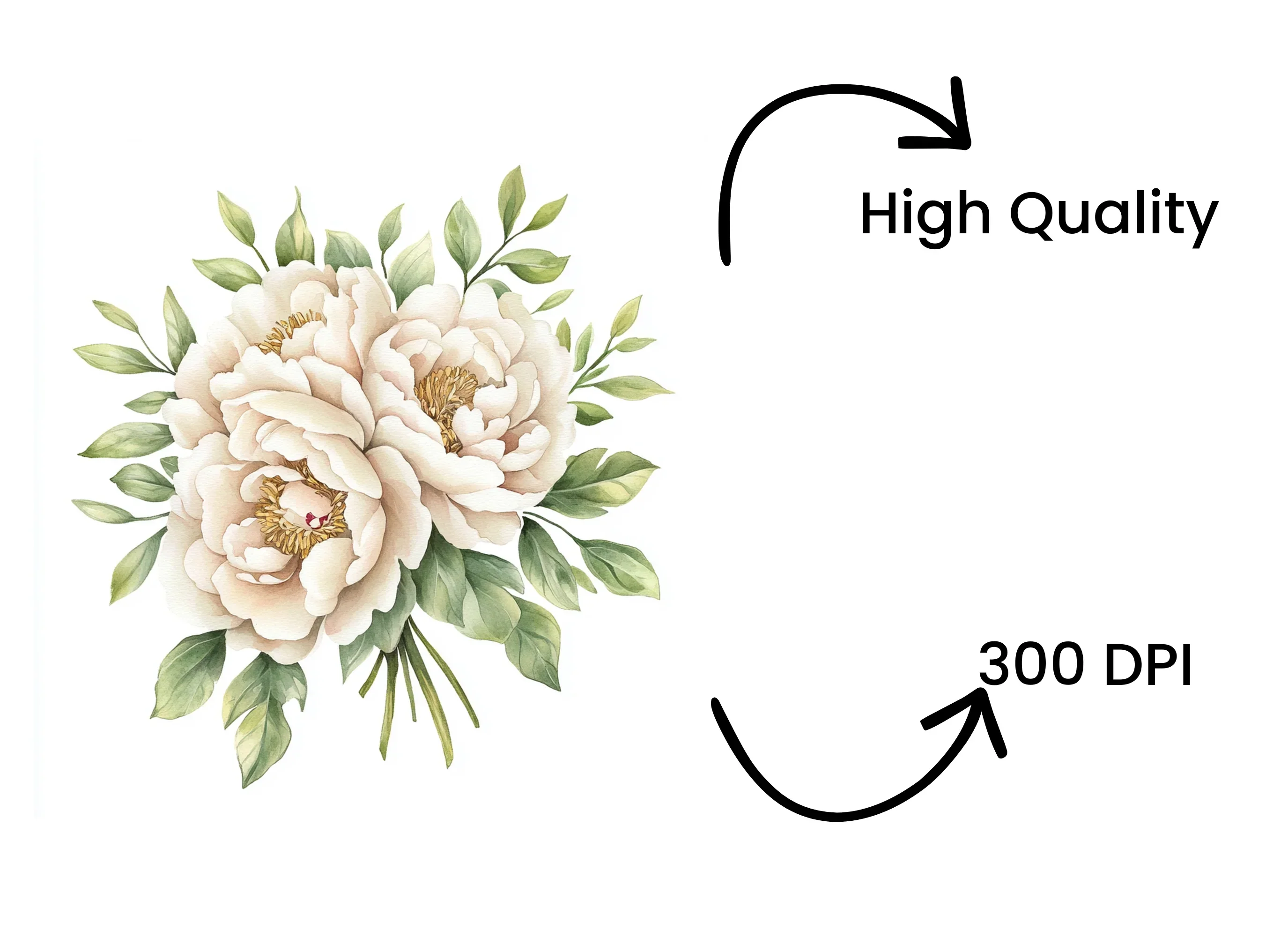 Peony Bouquet Clipart Bundle - Image 4