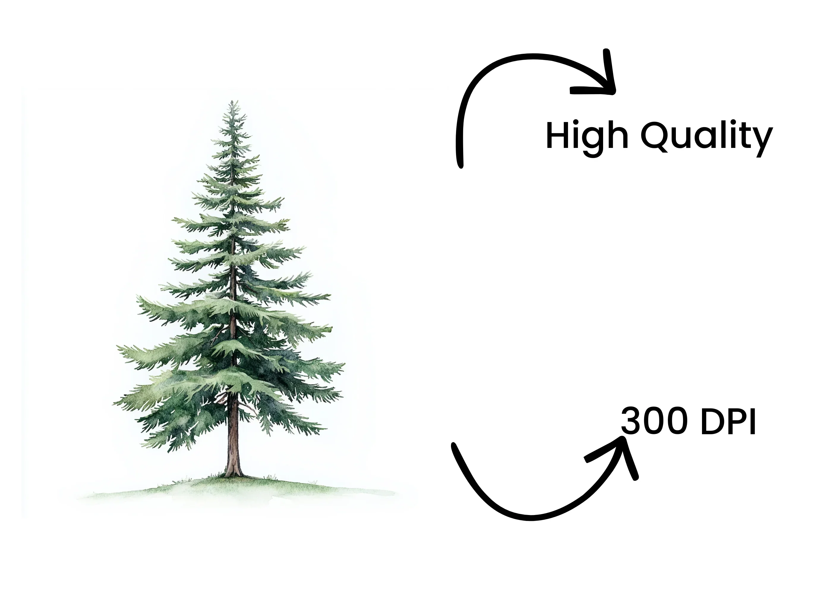 Pine Tree Clipart Bundle - Image 4