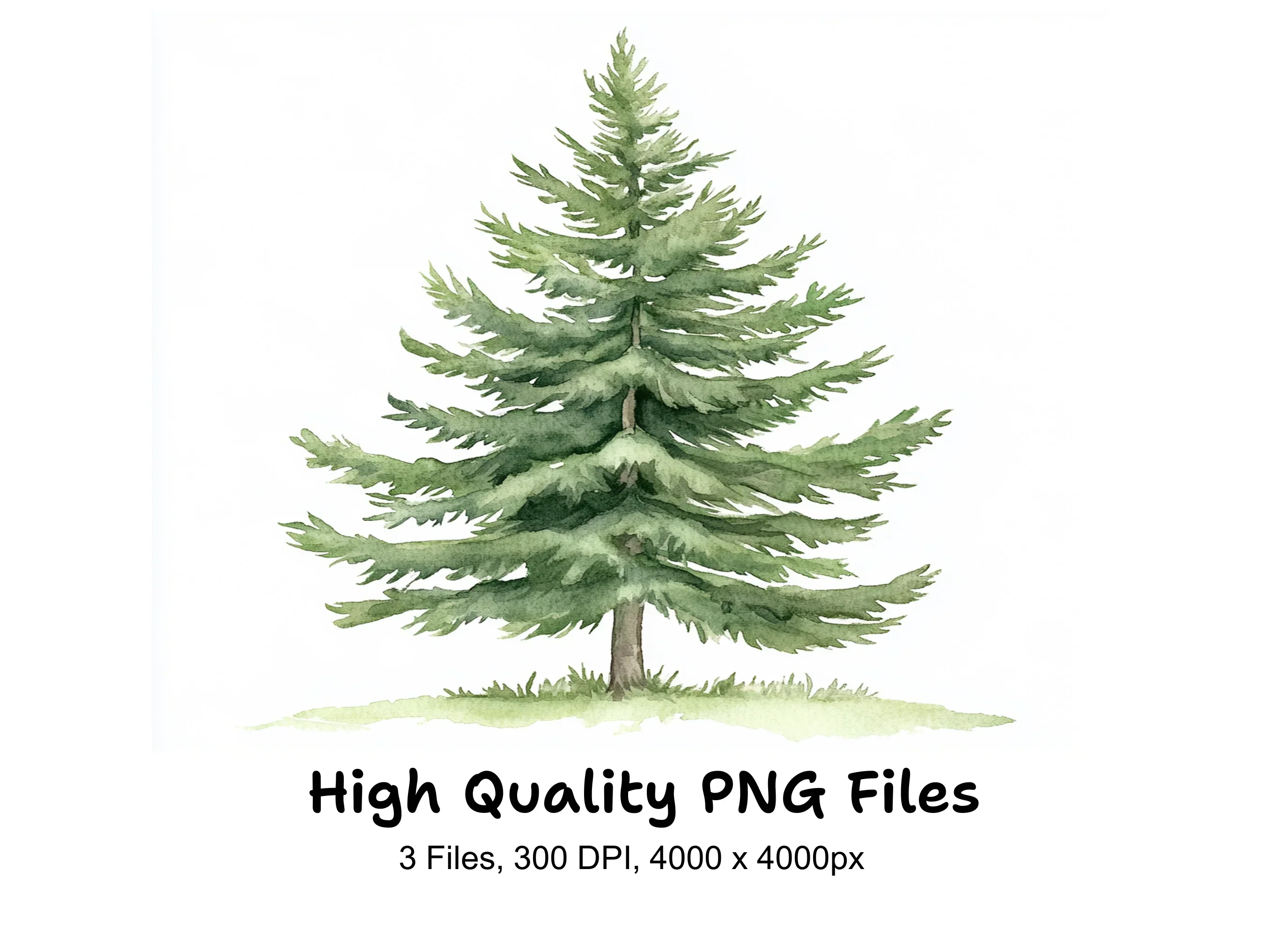 Pine Tree Clipart Bundle