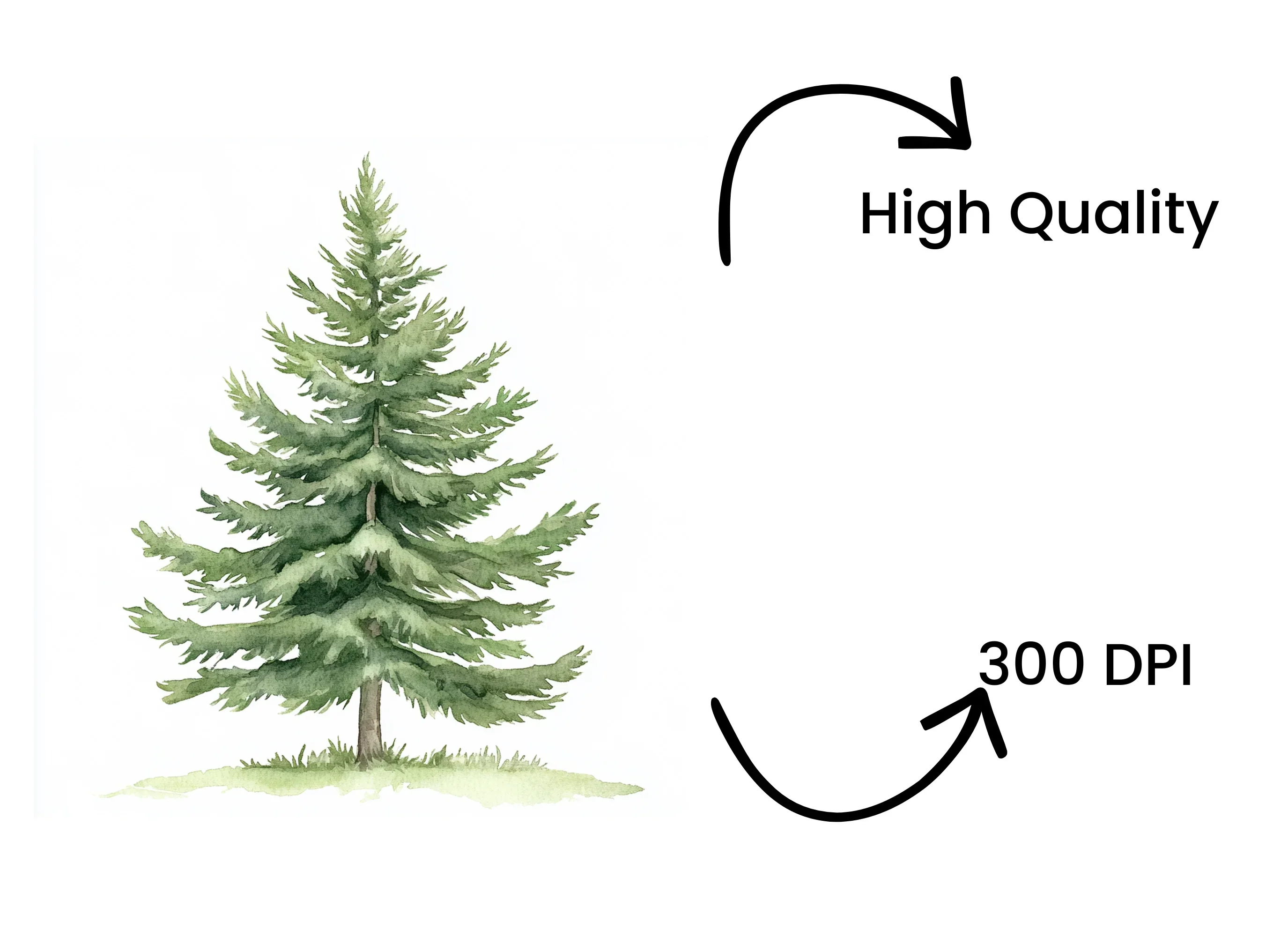 Pine Tree Clipart Bundle - Image 4