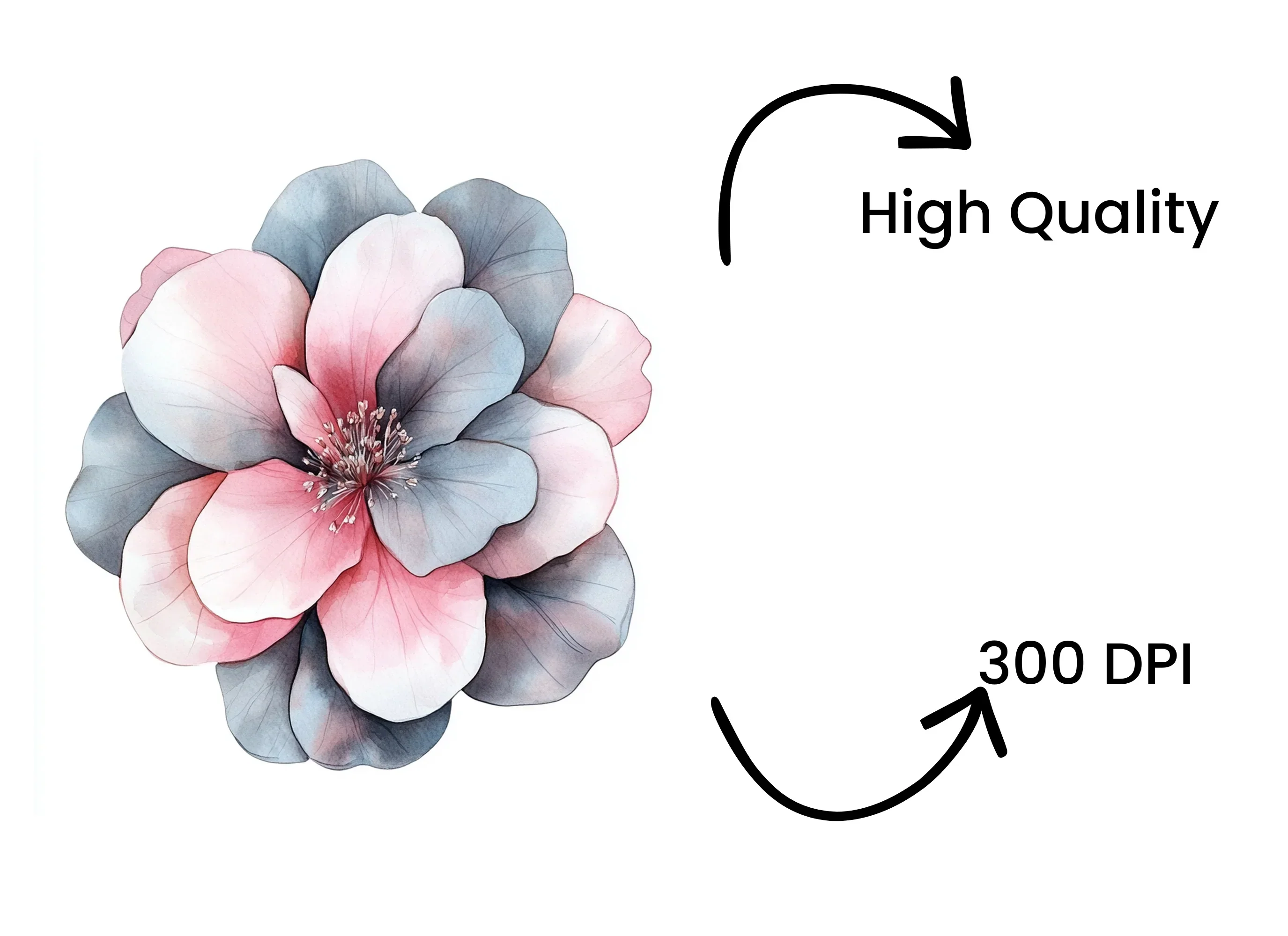 Pink and Grey Flowers Clipart Bundle - Image 4