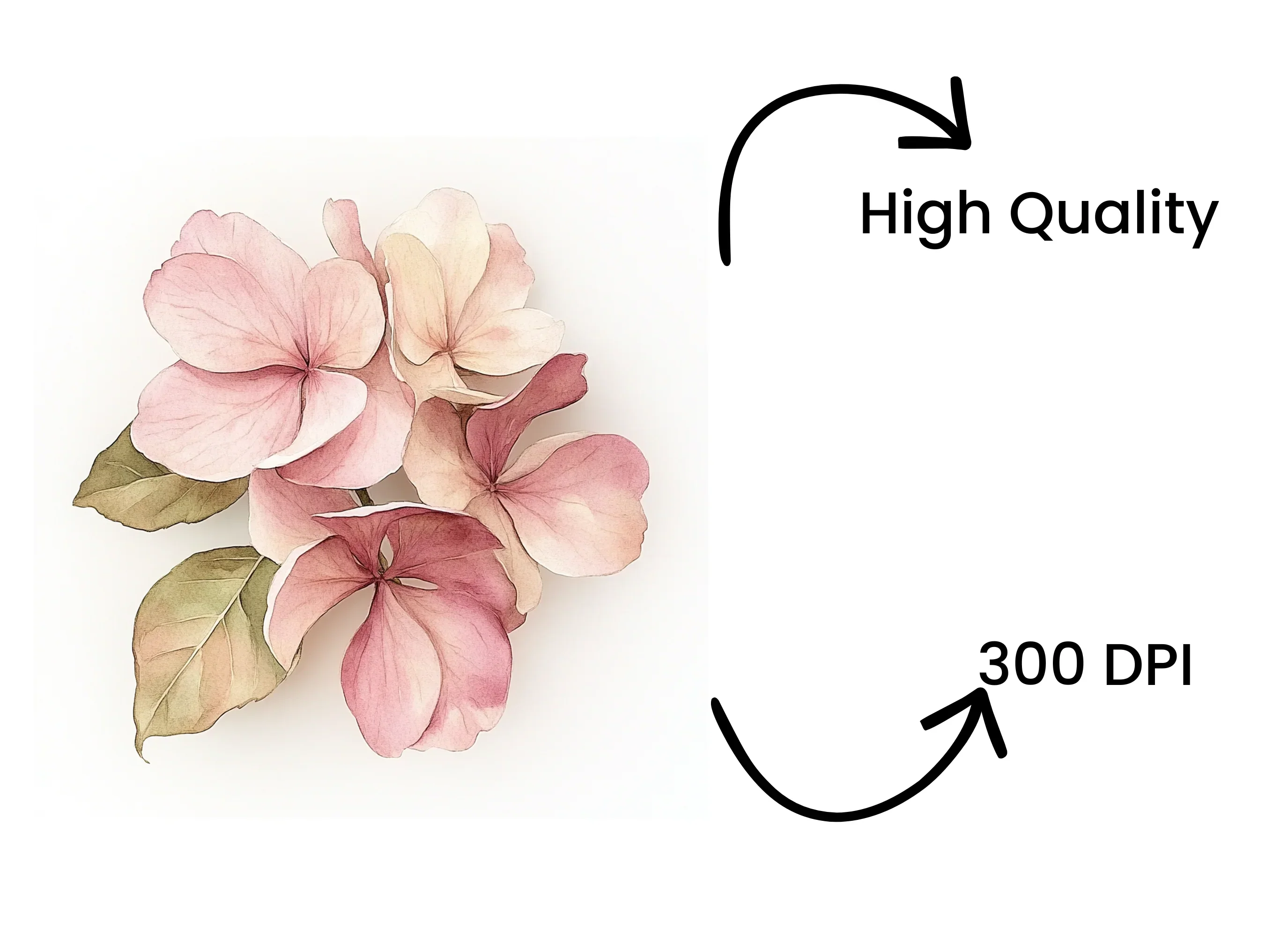 Pink Floral Clipart Bundle - Image 4