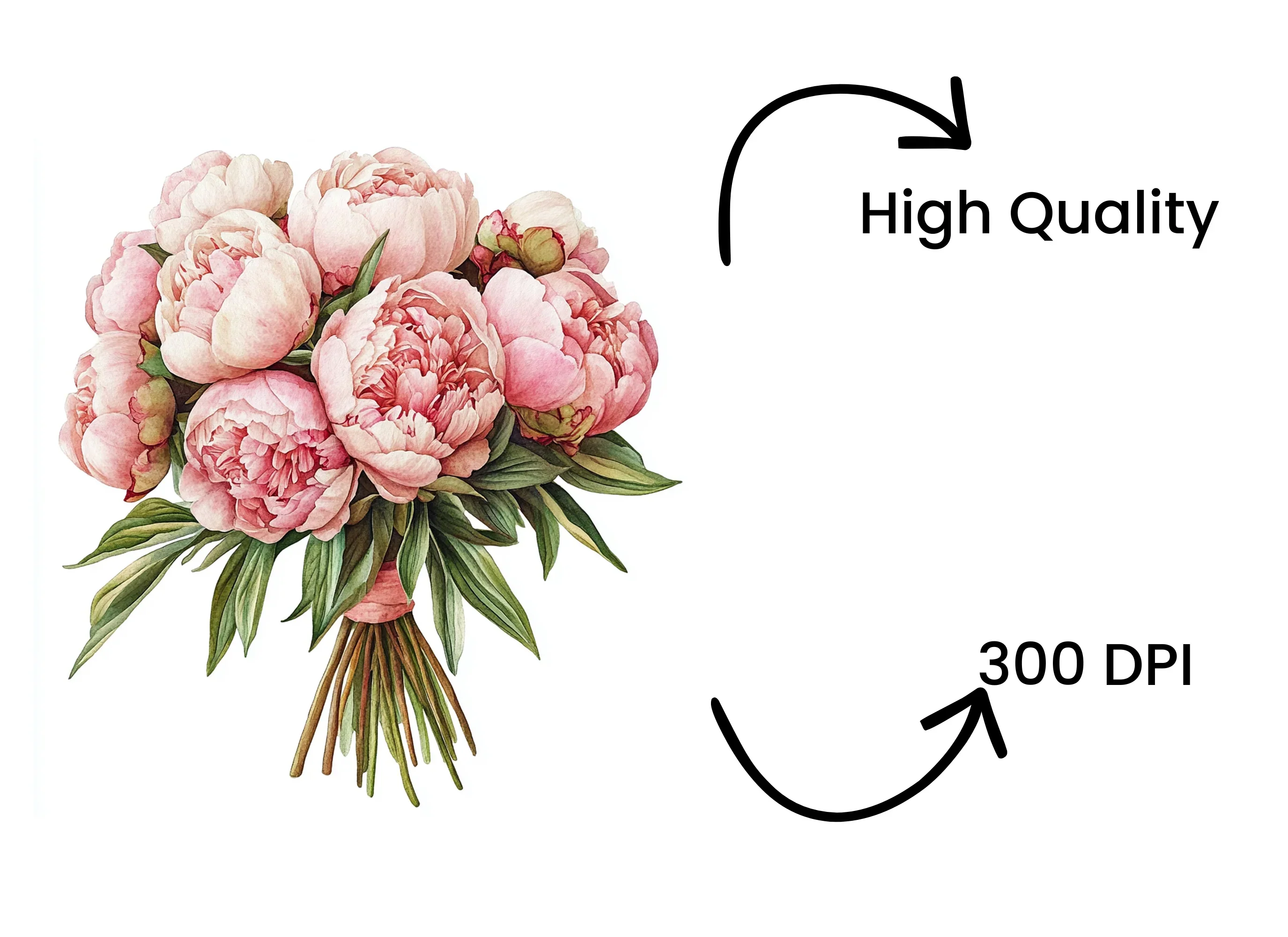 Pink Peony Bouquet Clipart Bundle - Image 4
