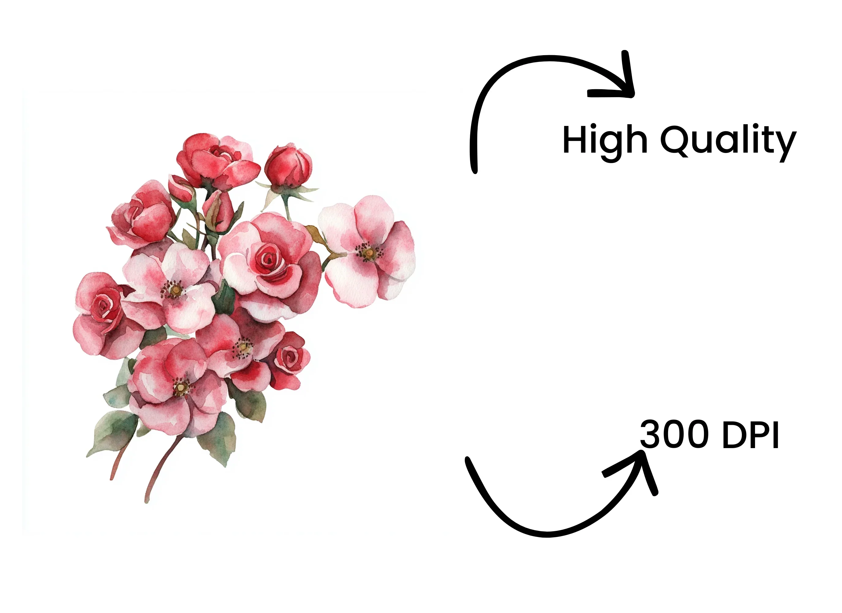 Pink Rose Bouquet Clipart Bundle - Image 4