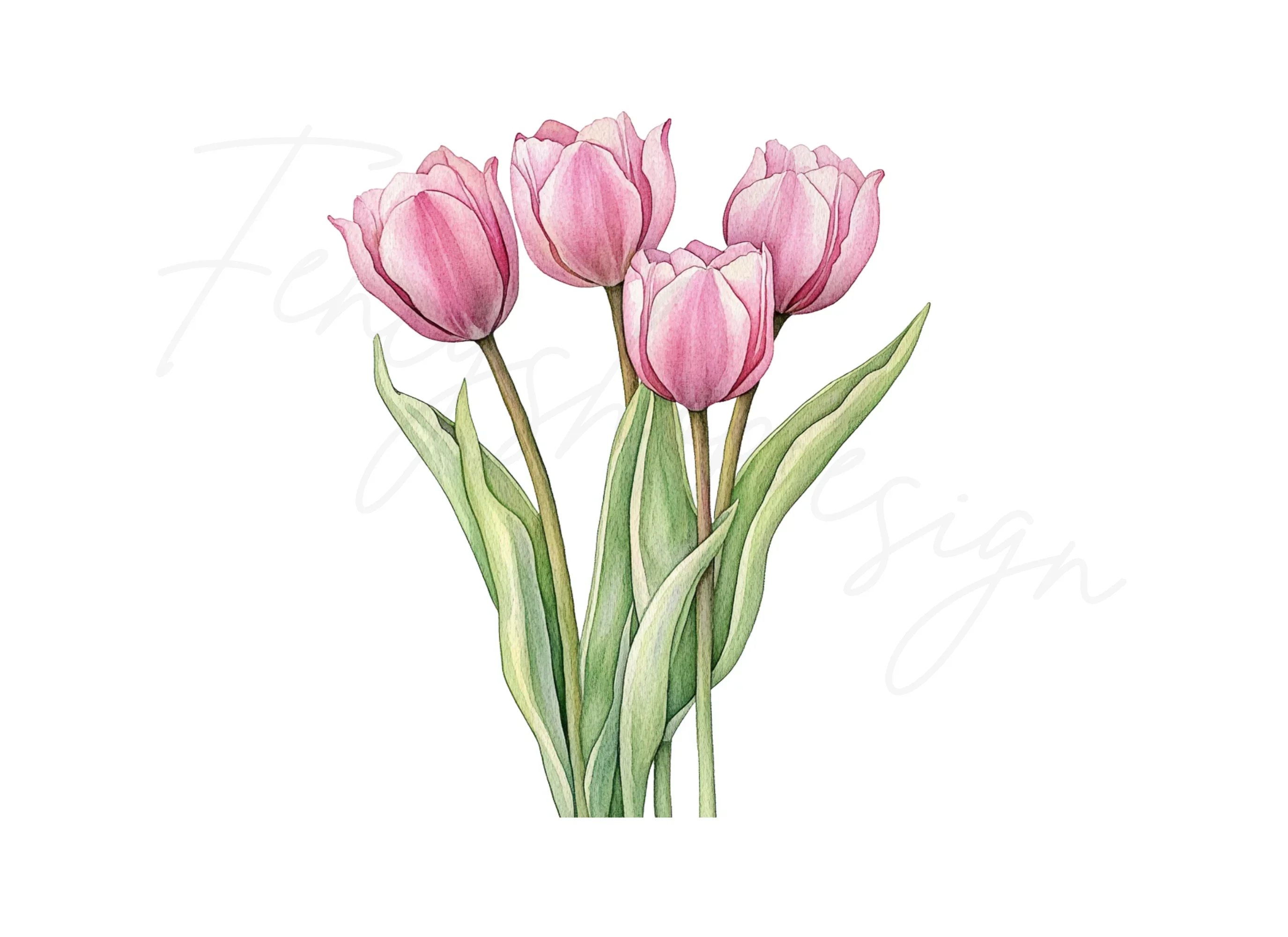 Pink Tulip Bouquets Clipart Bundle - Image 3
