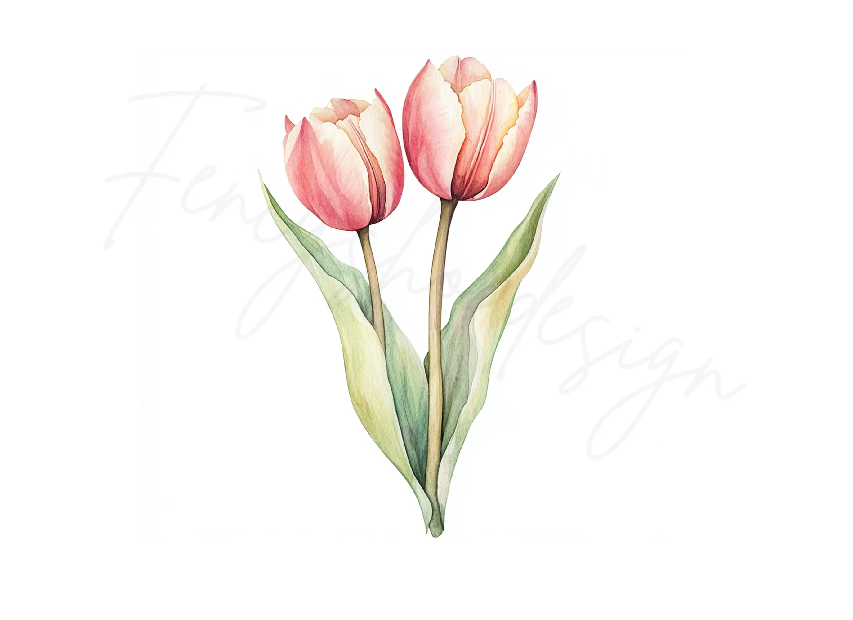 Pink Tulip Flower Clipart Bundle - Image 3