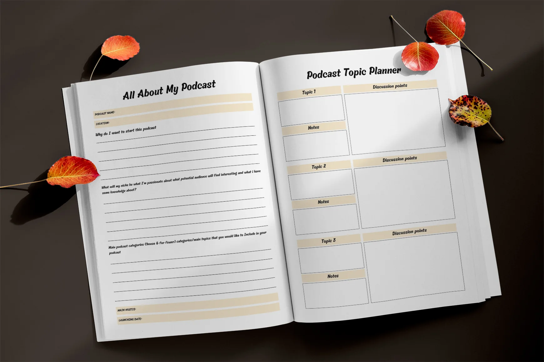 Podcast Planner Guide - Image 3
