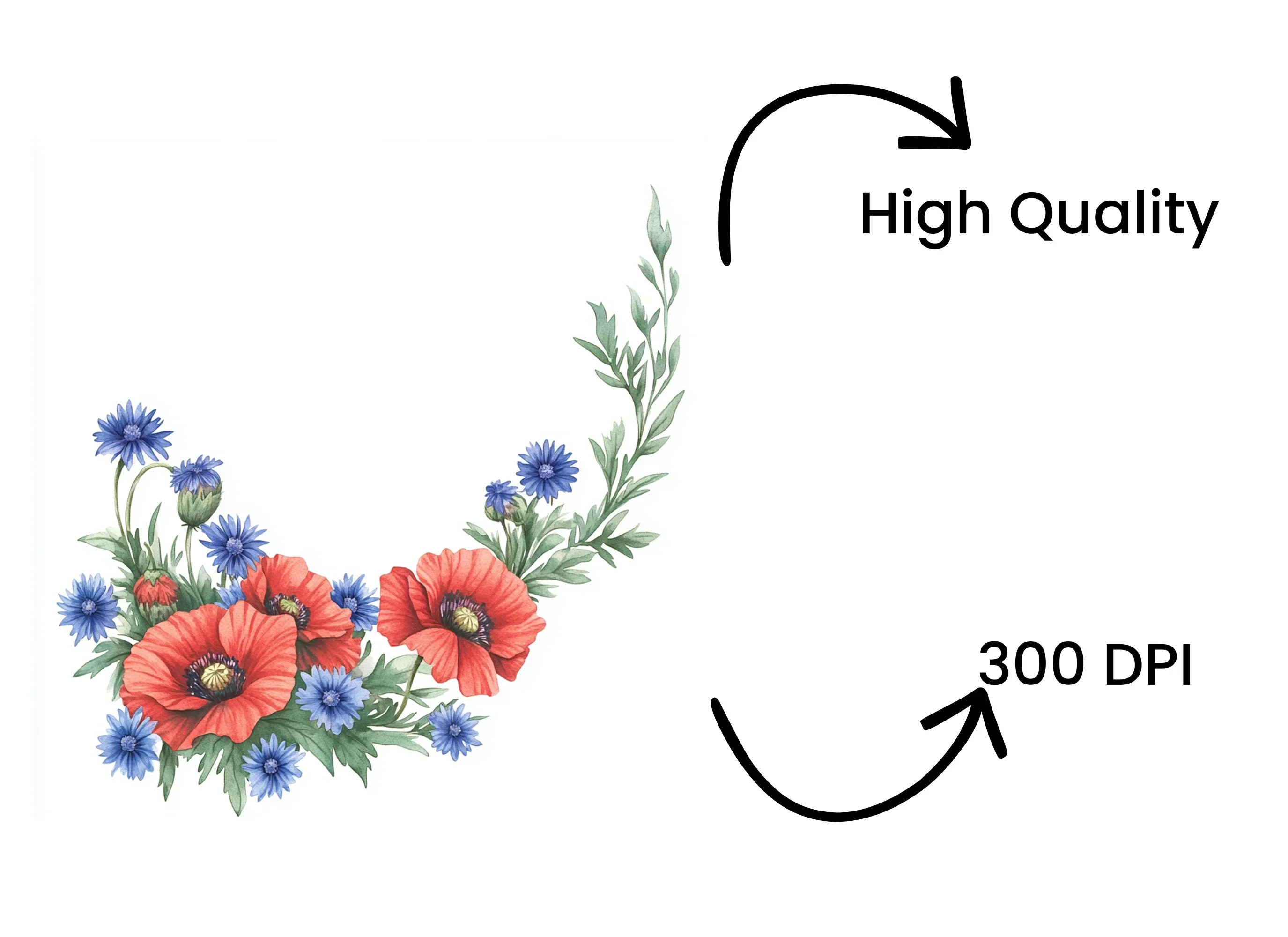 Poppy Cornflower Corners Clipart Bundle - Image 4