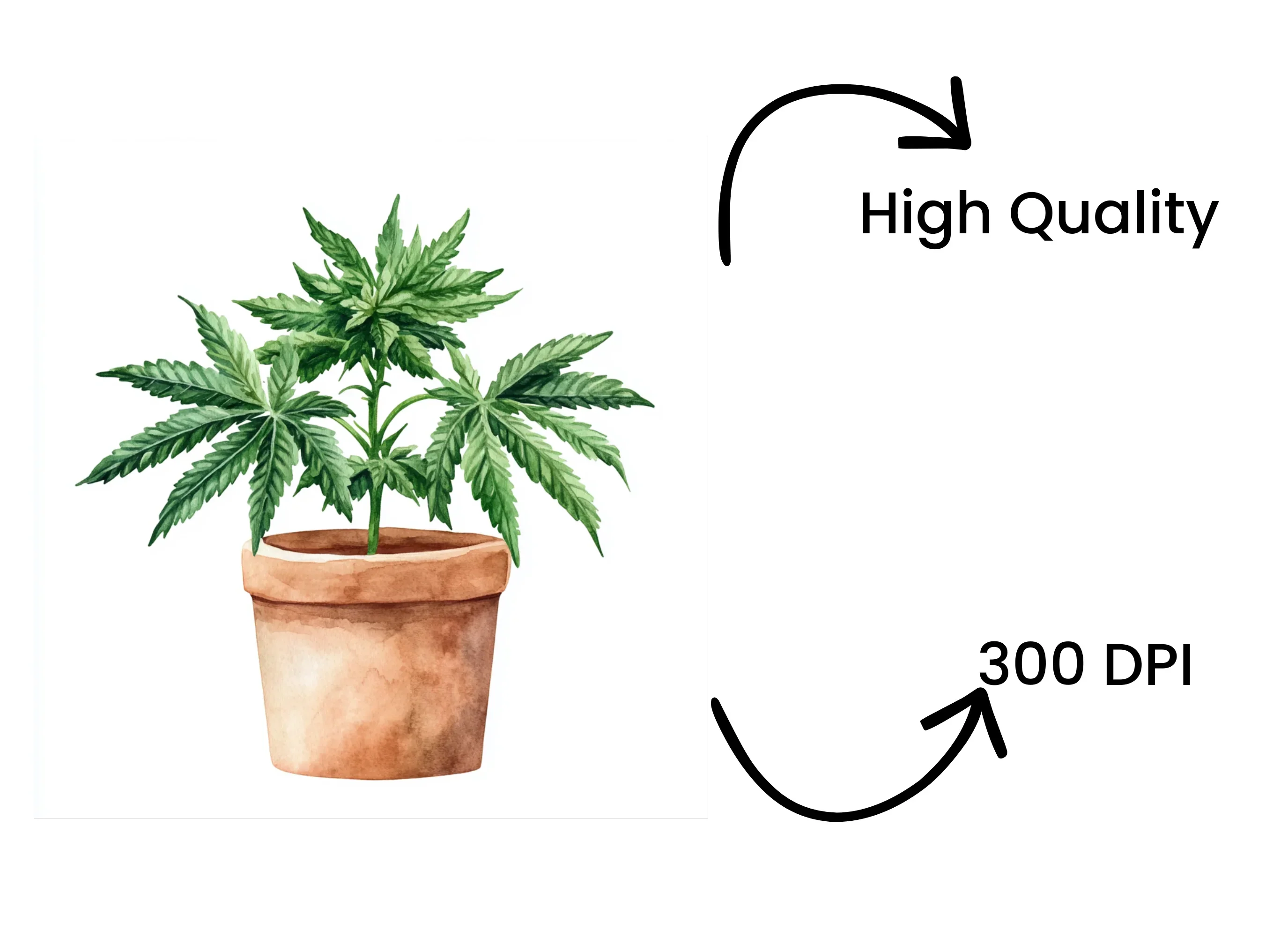 Potted Cannabis Plants Clipart Bundle - Image 4
