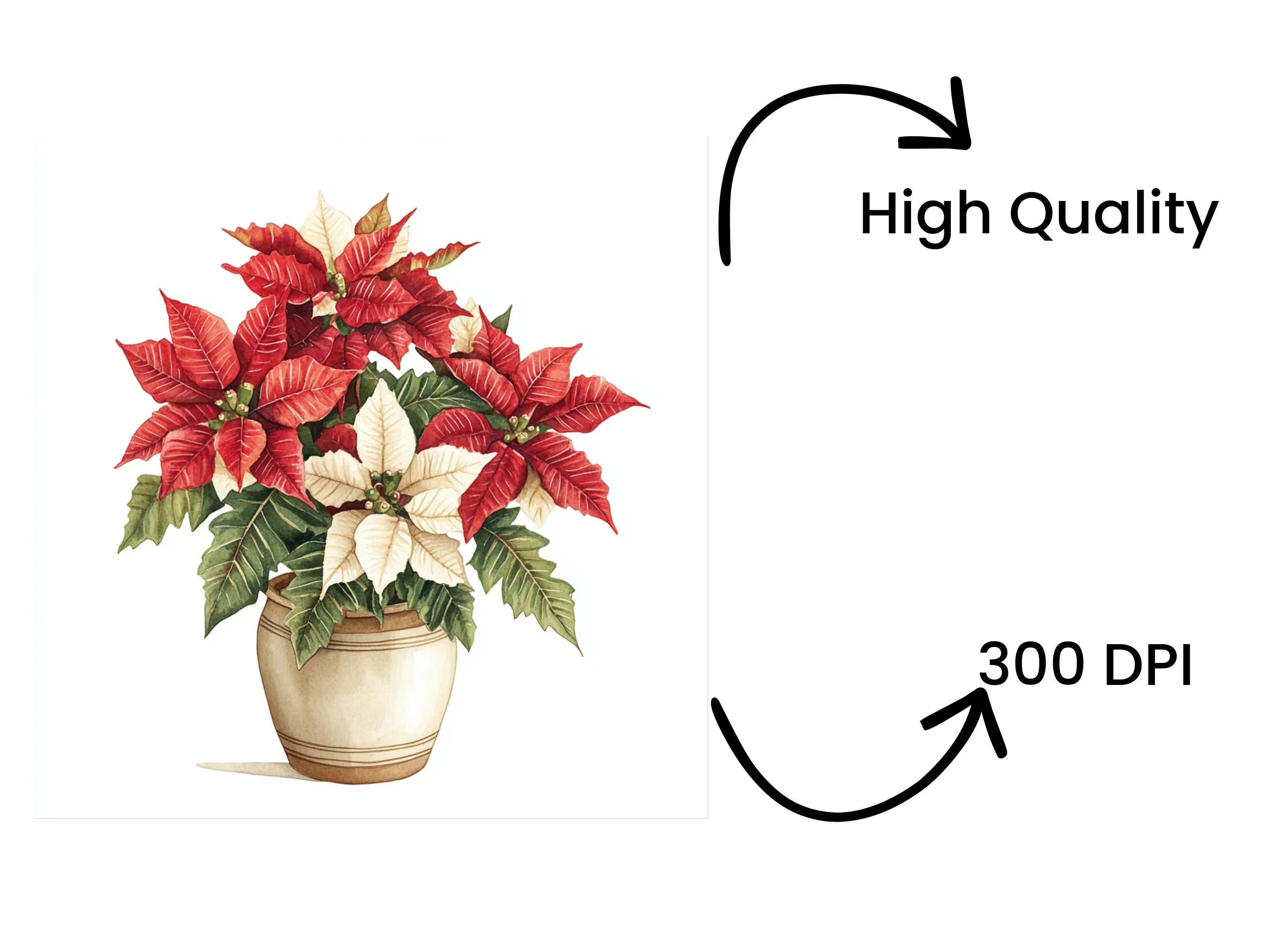 Potted Poinsettia Clipart Bundle - Image 4