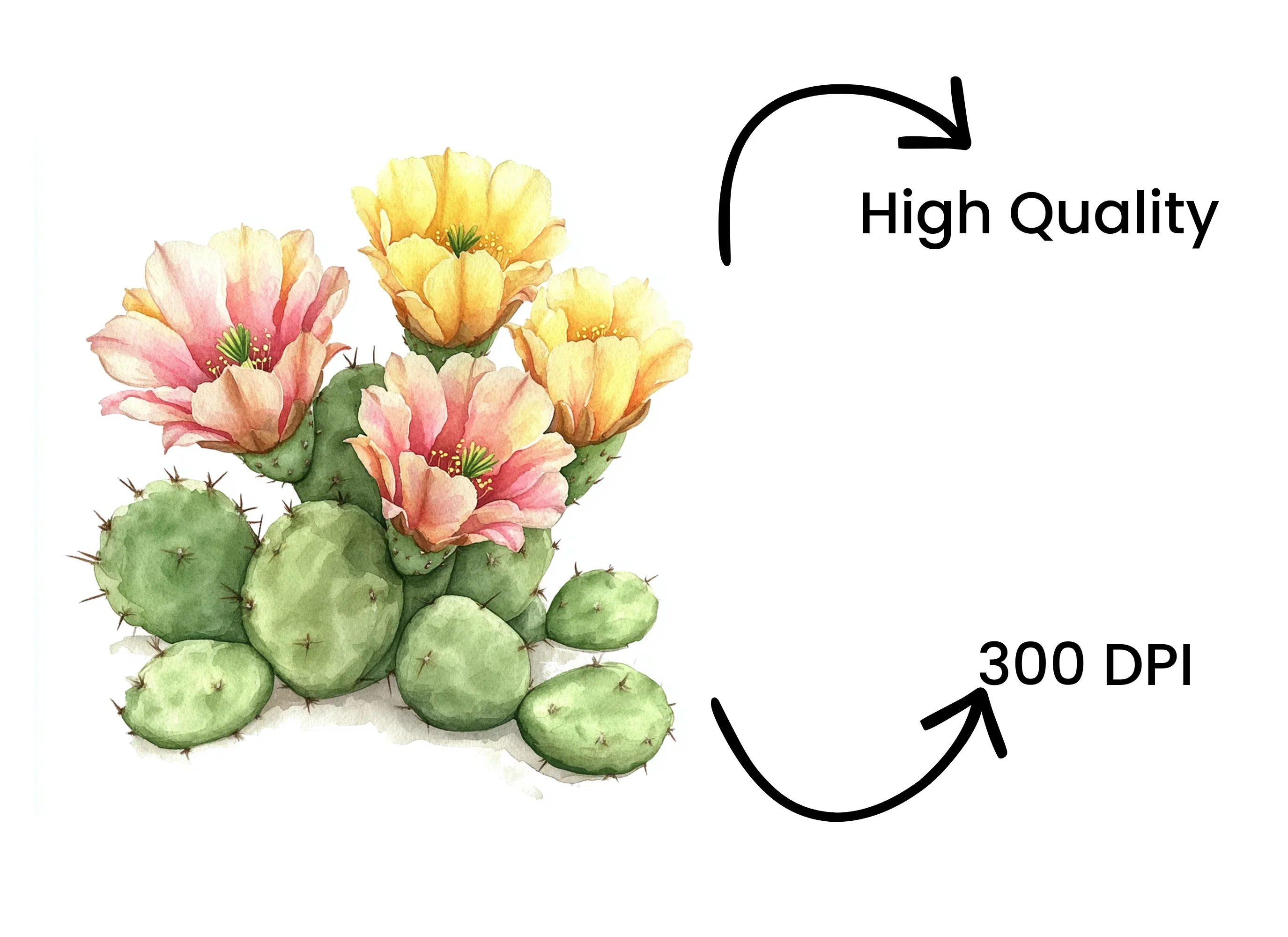 Prickly Pear Cactus Clipart Bundle - Image 4