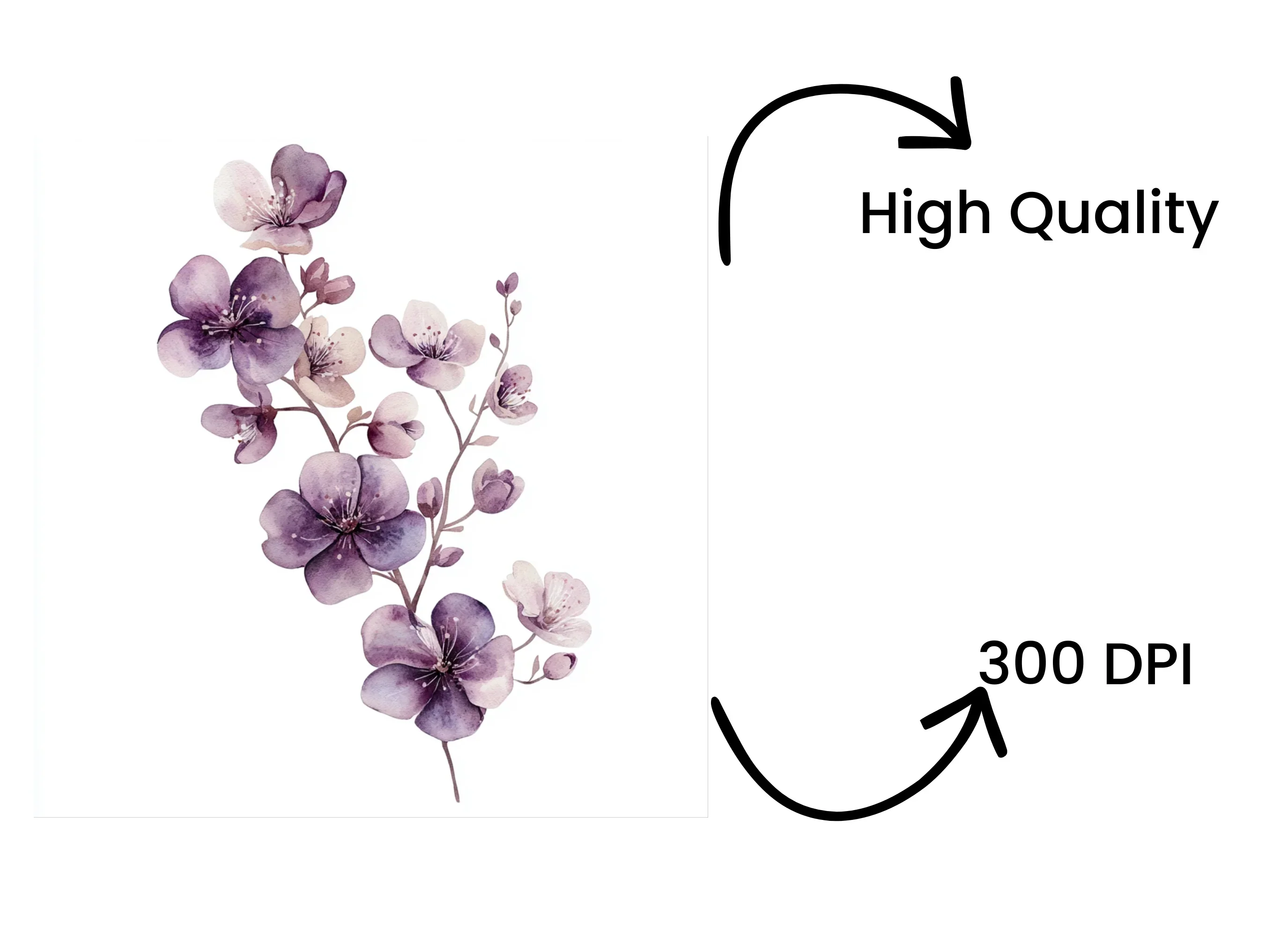 Purple Cherry Blossom Clipart Bundle - Image 4
