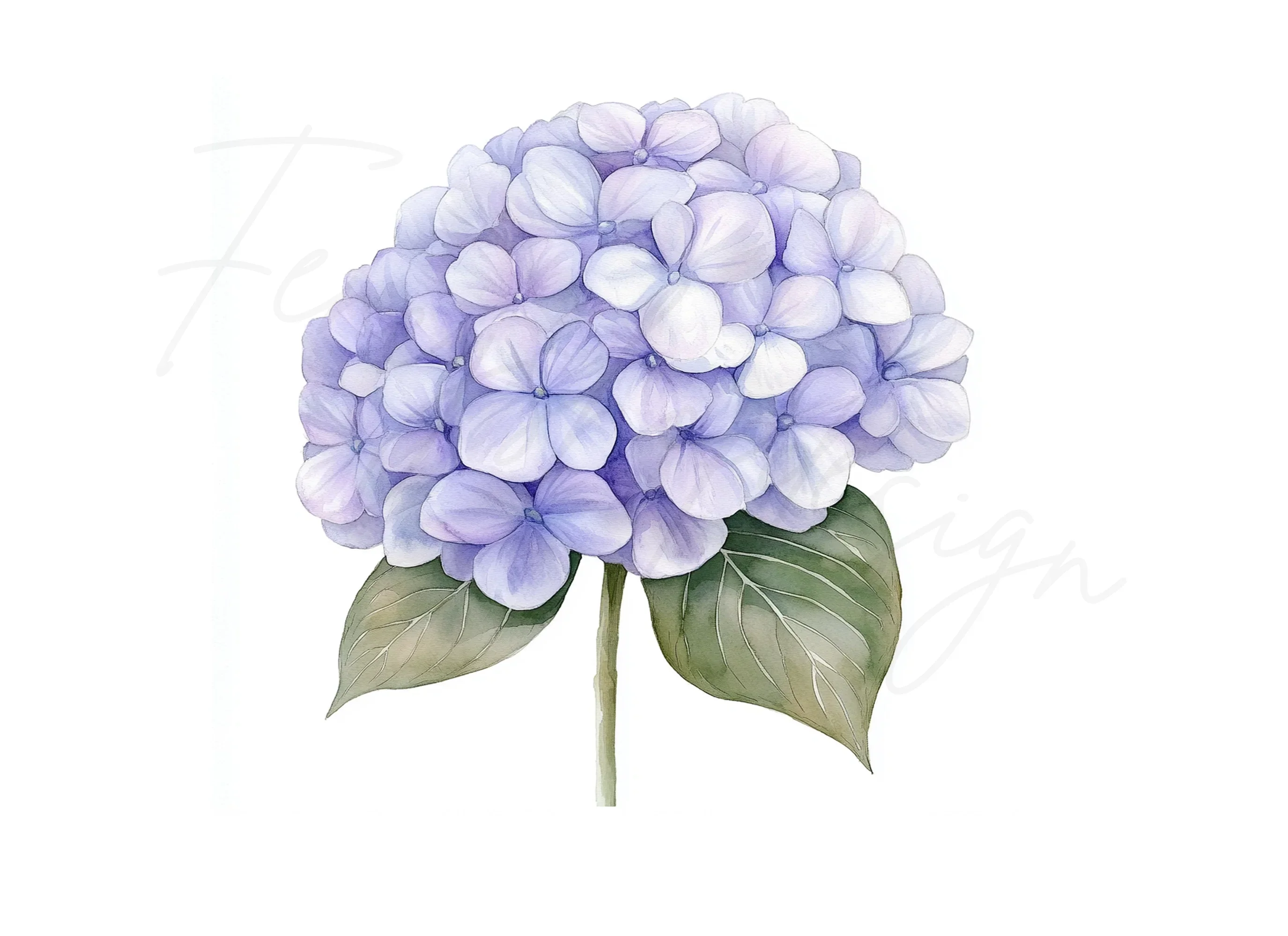 Purple Hydrangea Clipart Bundle - Image 3