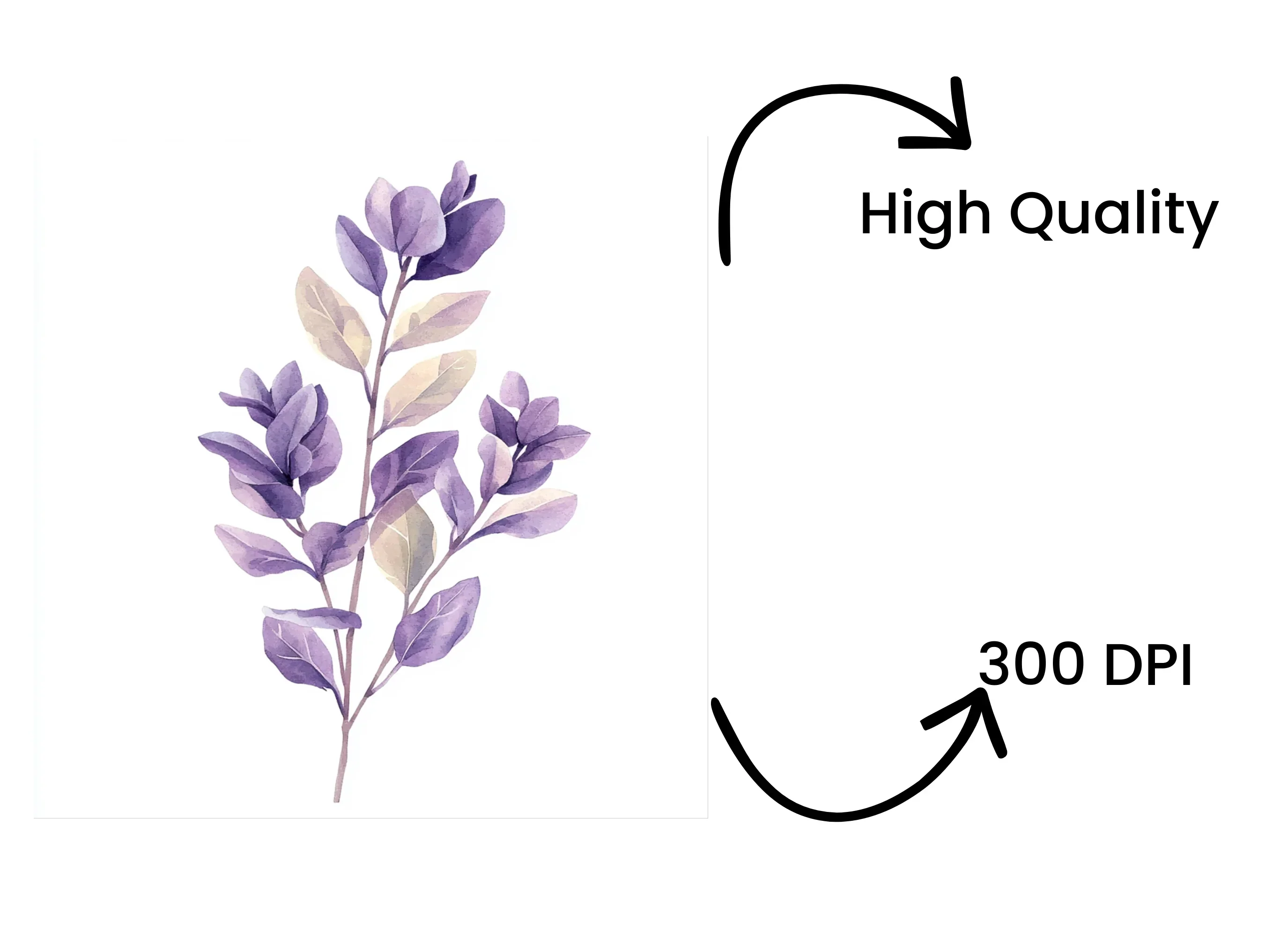 Purple Lavender Clipart Bundle - Image 4