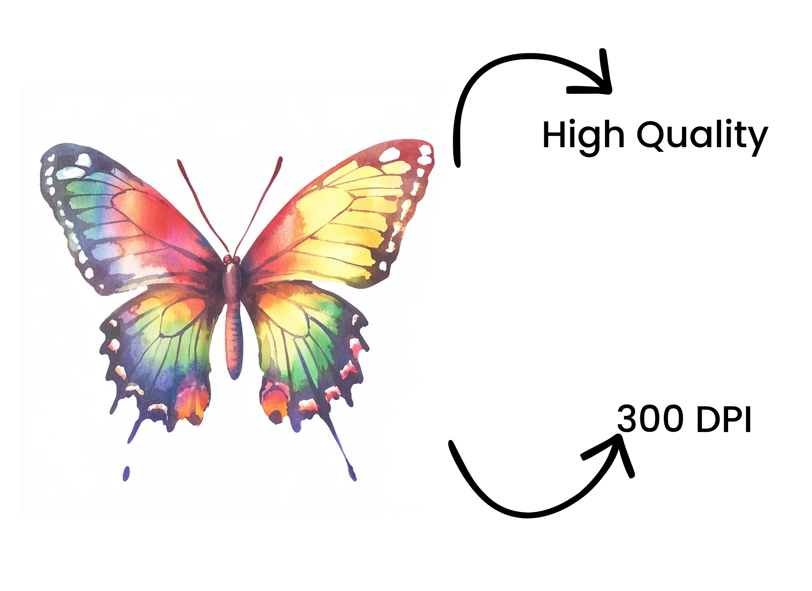 Rainbow Butterfly Clipart Bundle - Image 4