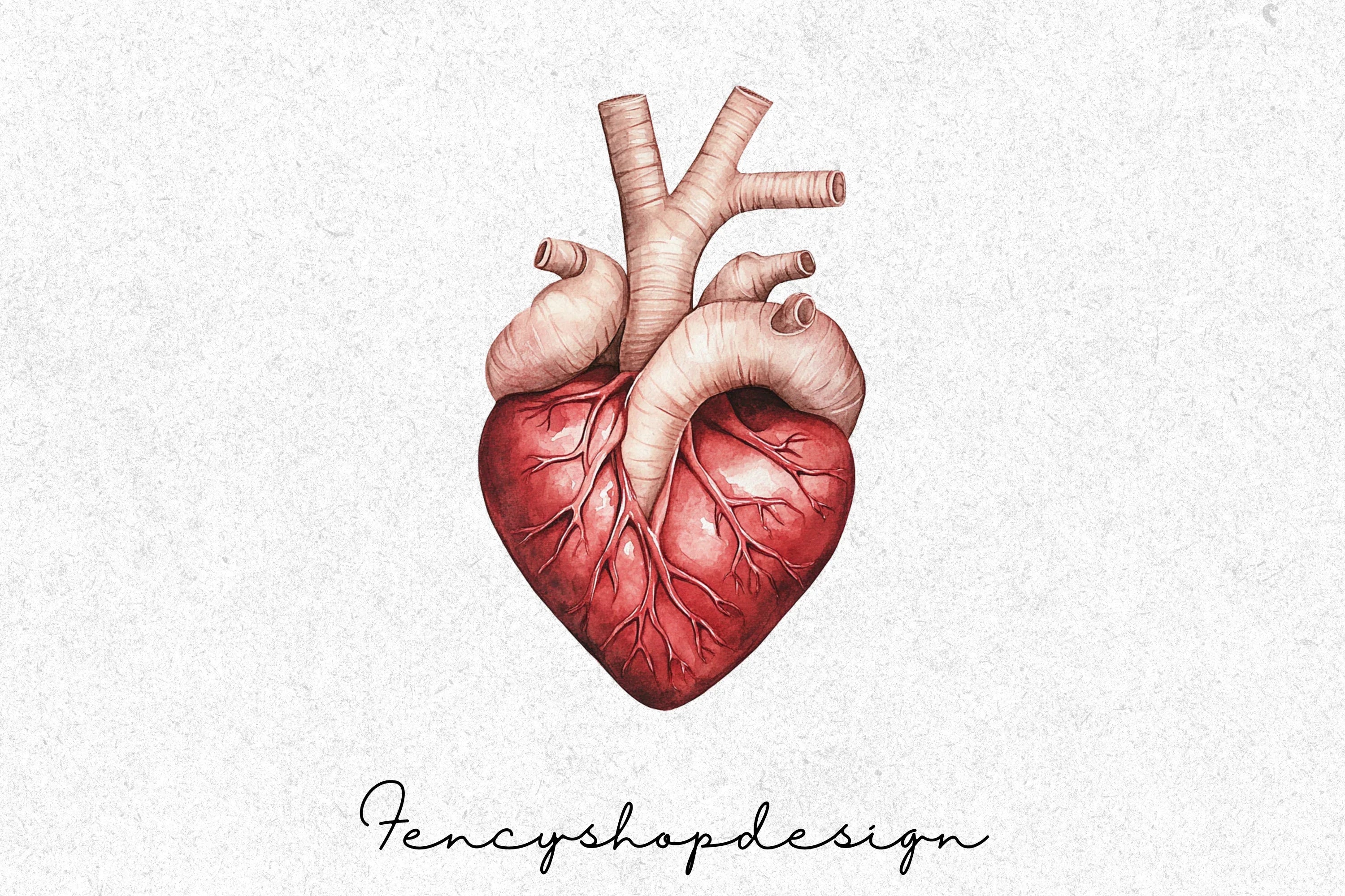 Realistic Anatomical Human Hearts Clipart Bundle - Image 6